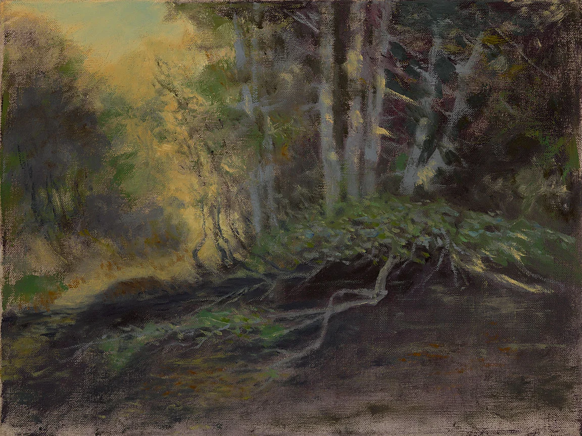 Big Sur River #2