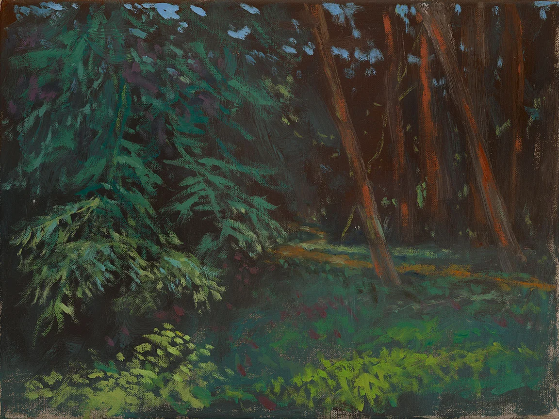 Big Sur Redwoods
