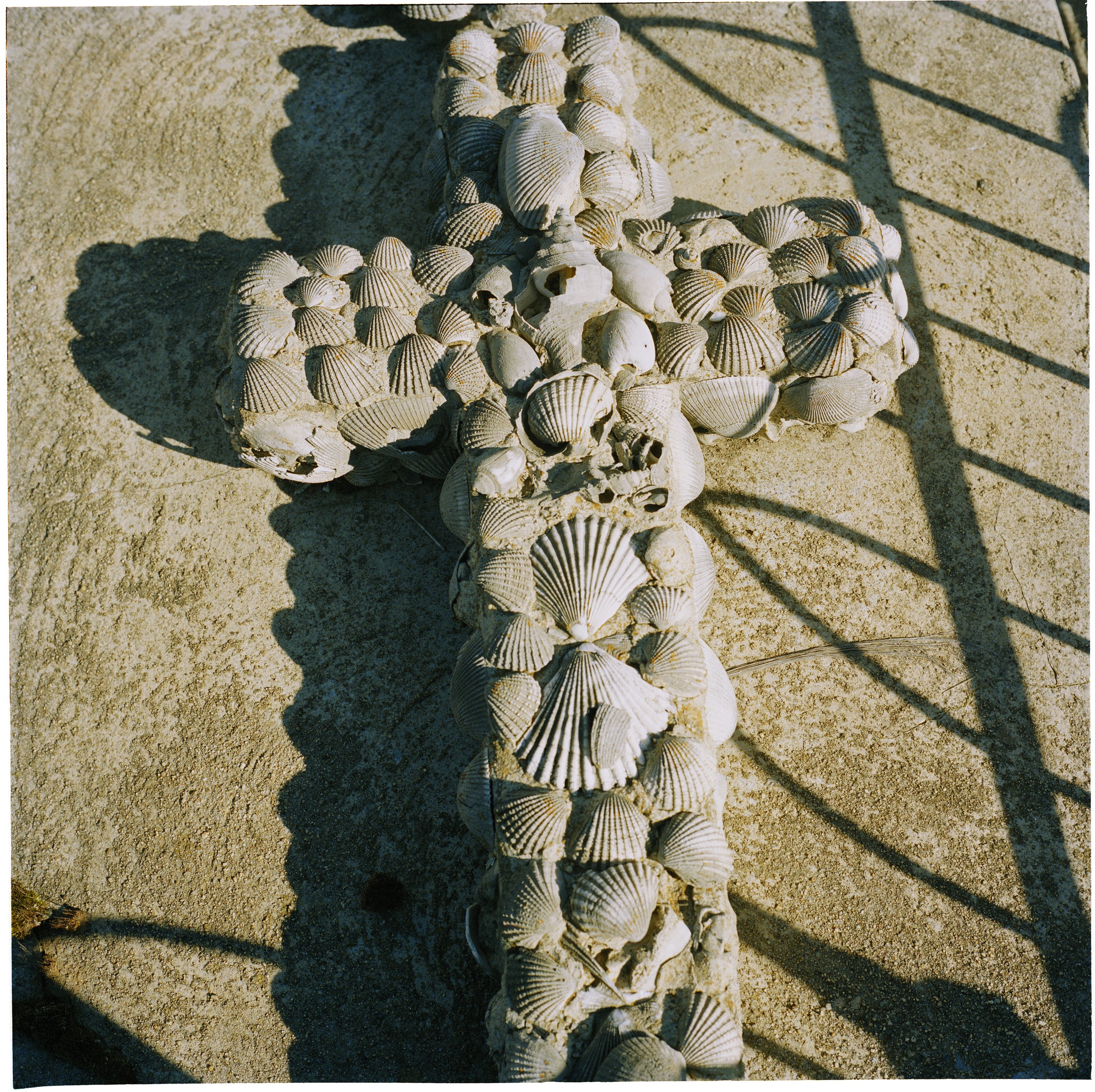 Cross of Shells (2008)