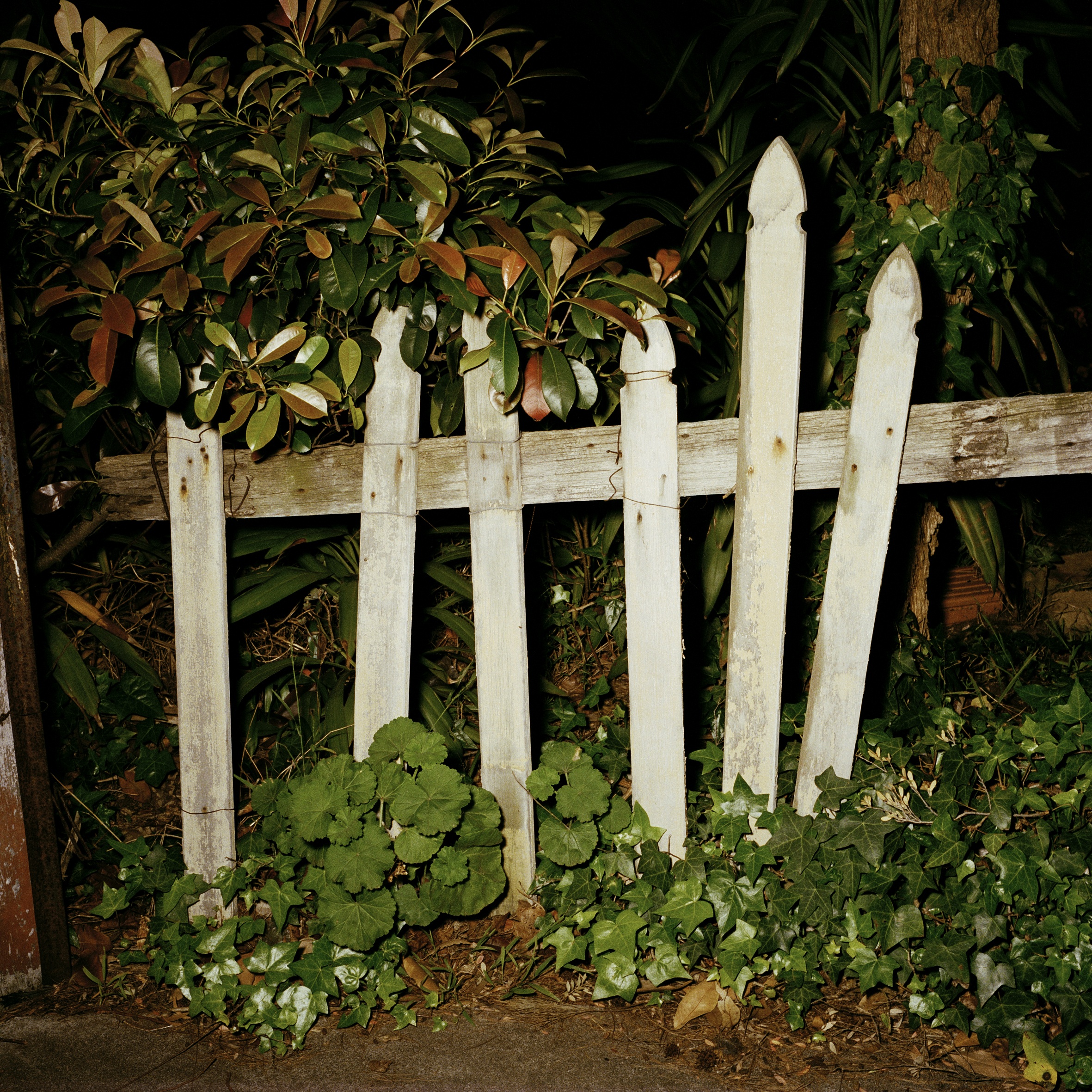 Picket Fence (2003)