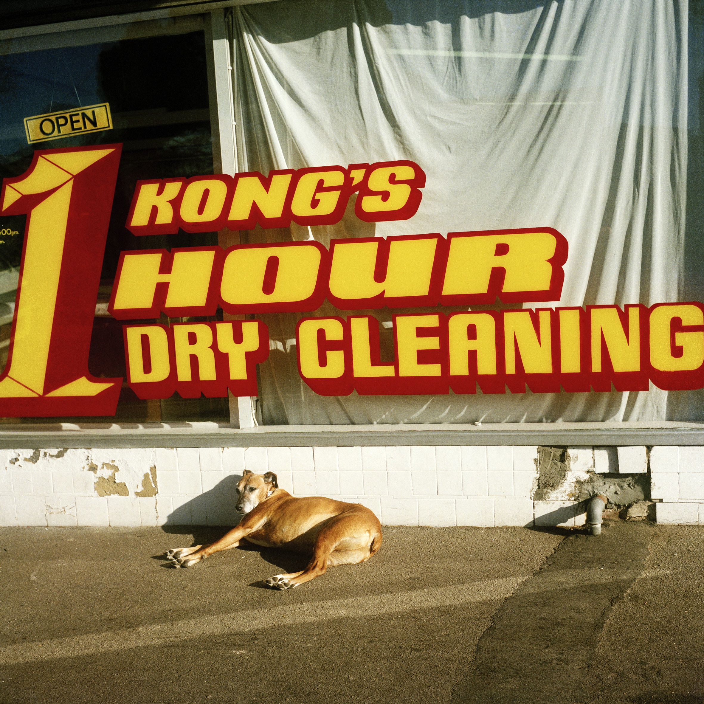 Kongs' One Hour Dry Cleaning (1998)