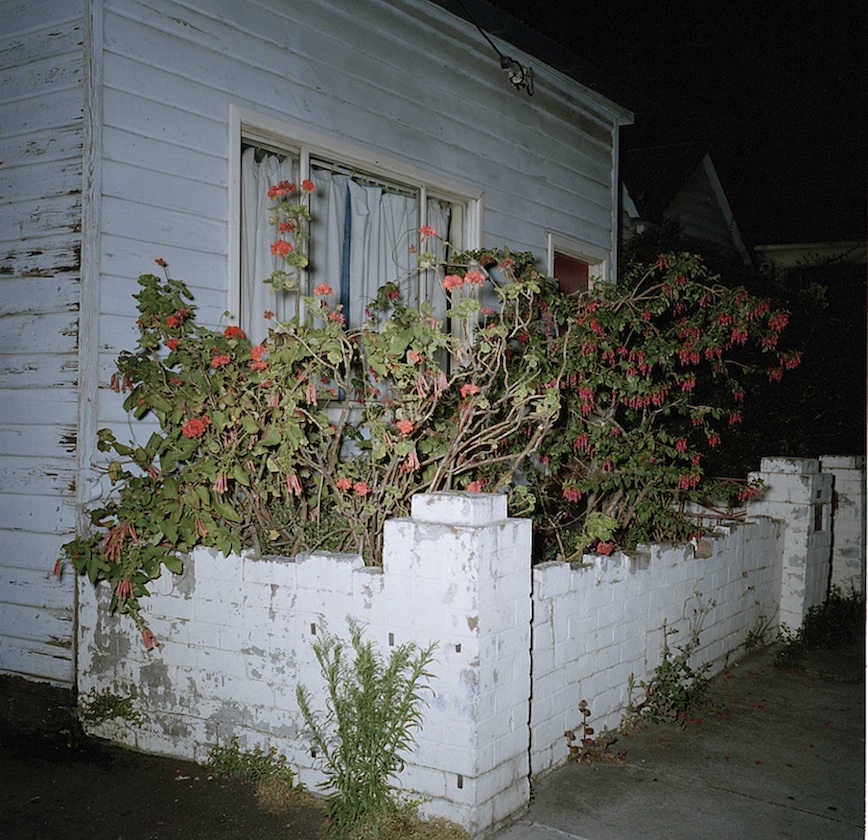 House with red flowers (2012-2016)
