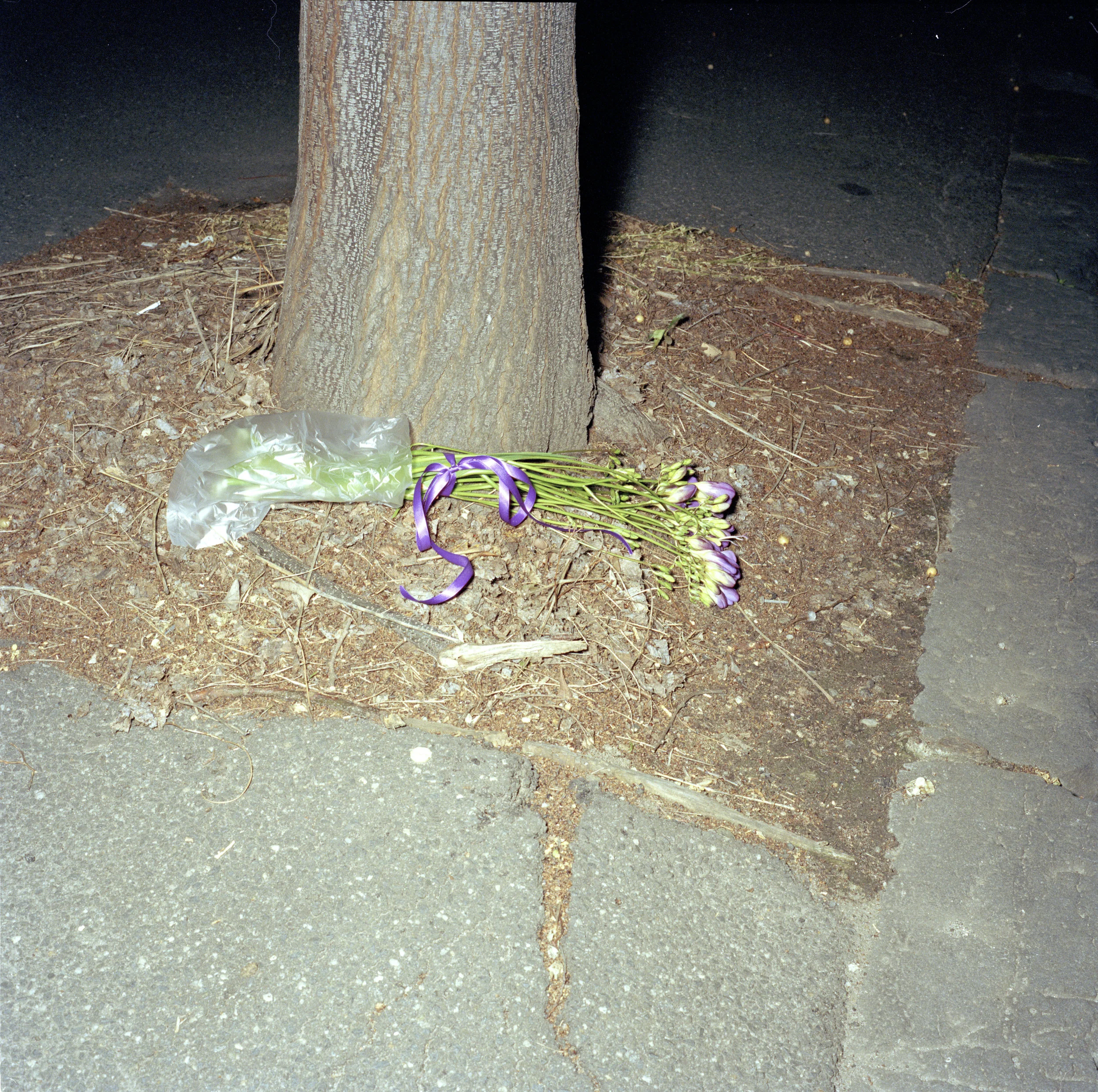 Discarded flowers (2012-2016)
