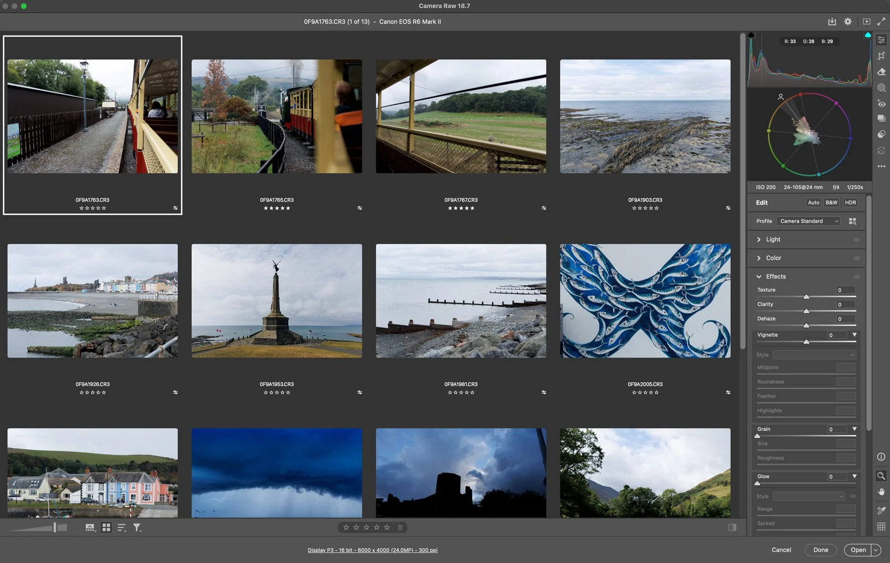 screenshot of Photoshop Camera Raw showing the new grid view