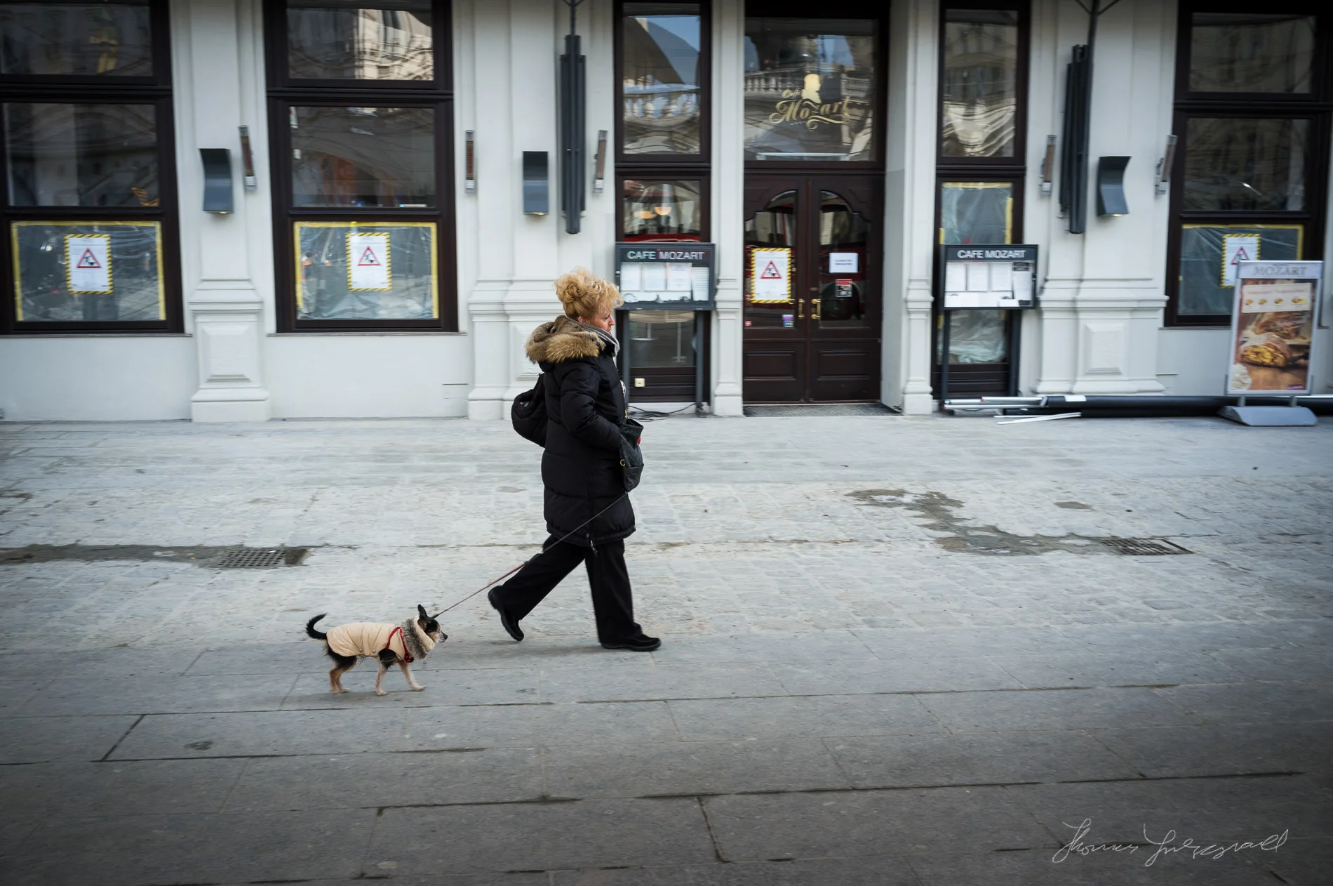 Woman Walking Her Dog, Vienna, Fujifilm X100