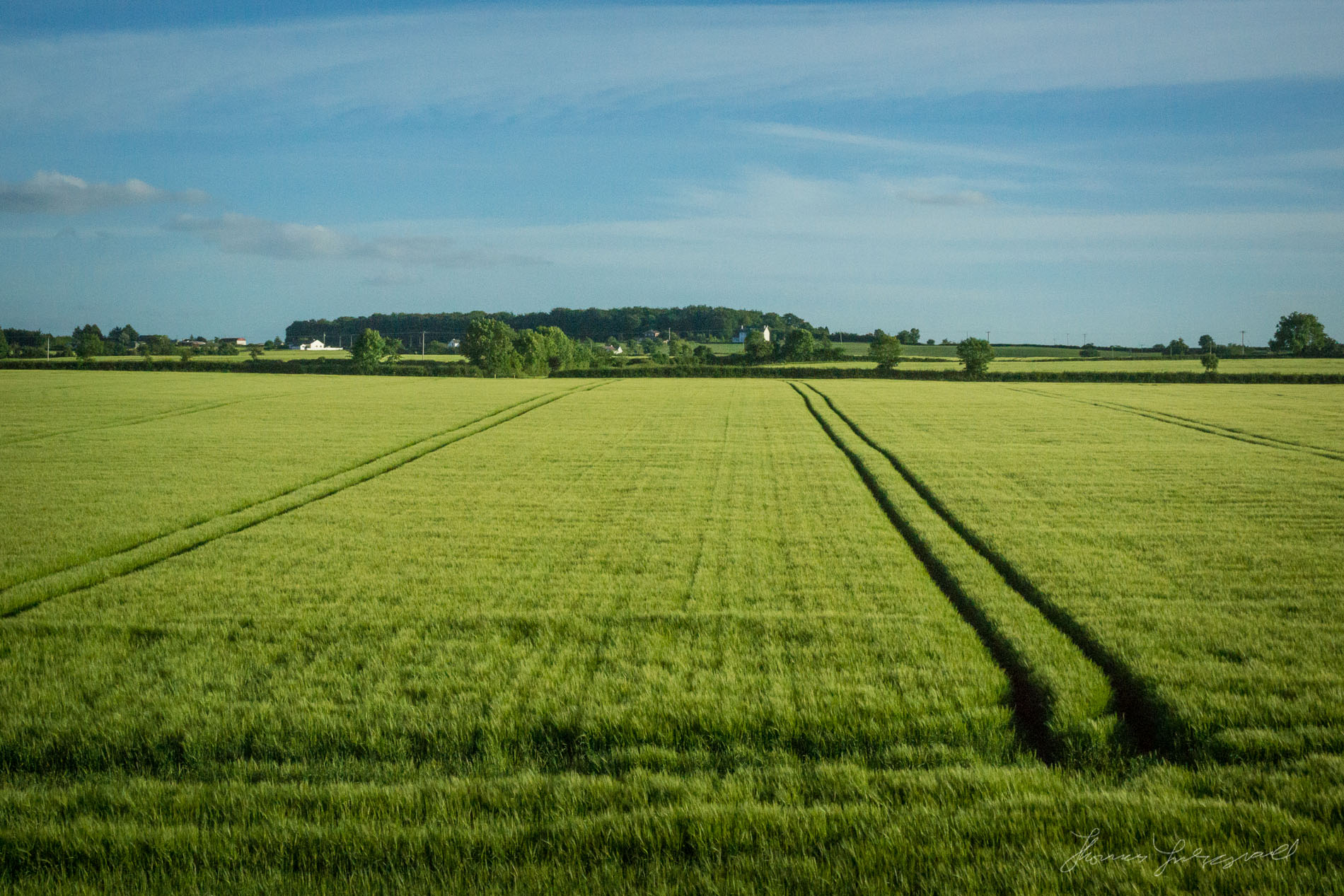 Green Fields