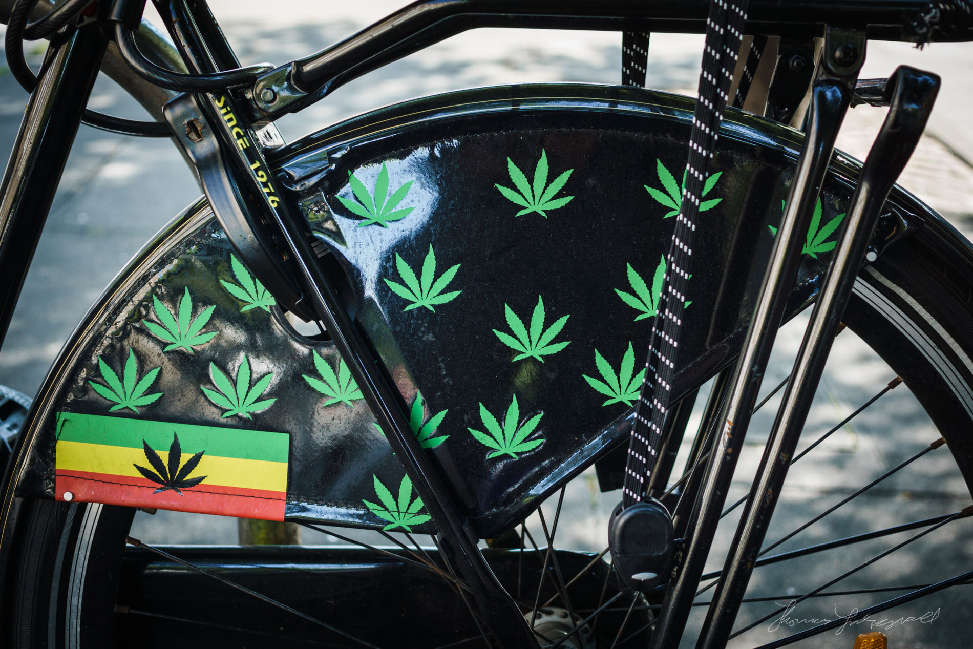 hemp bicycle closeup