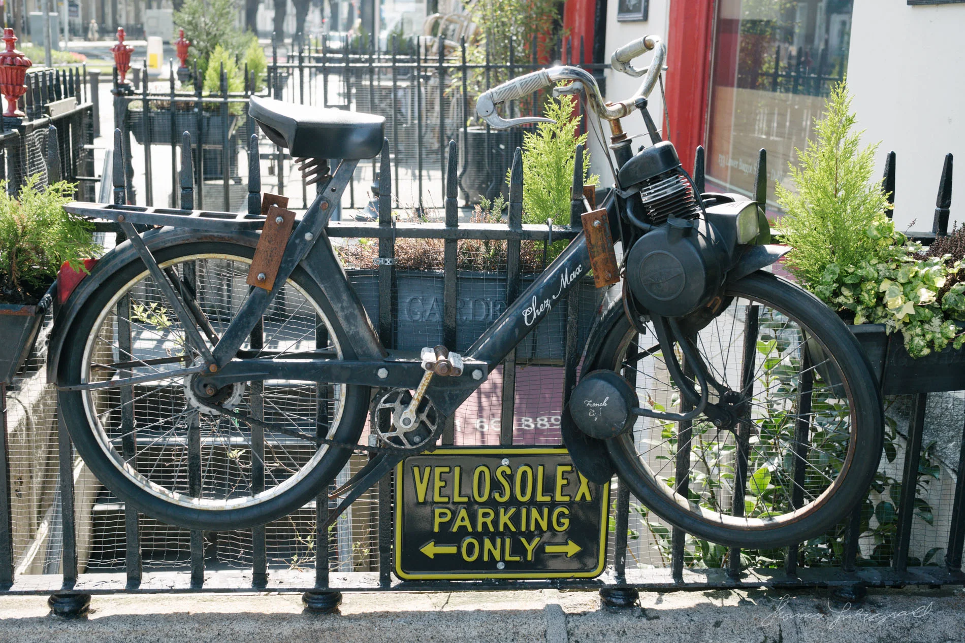 Old bicycle used for Advertising