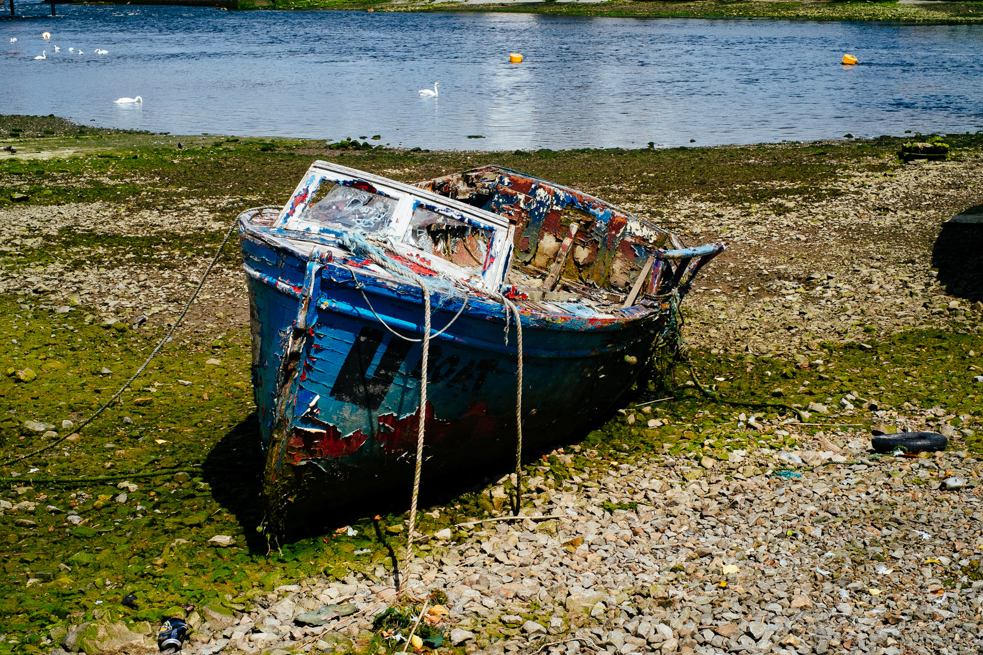 Using the Velvia Preset