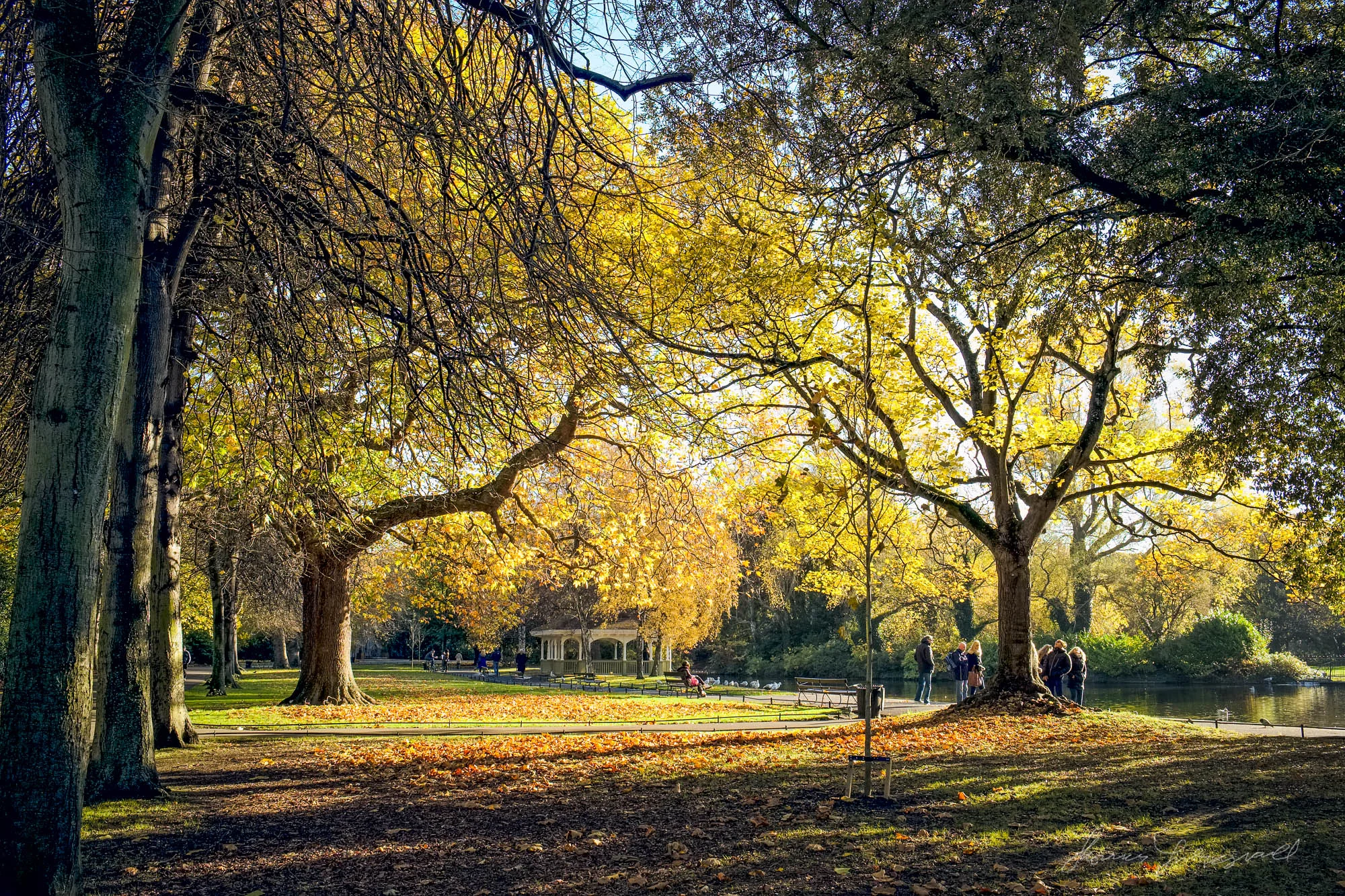 Golden Colours in Stephen's Green