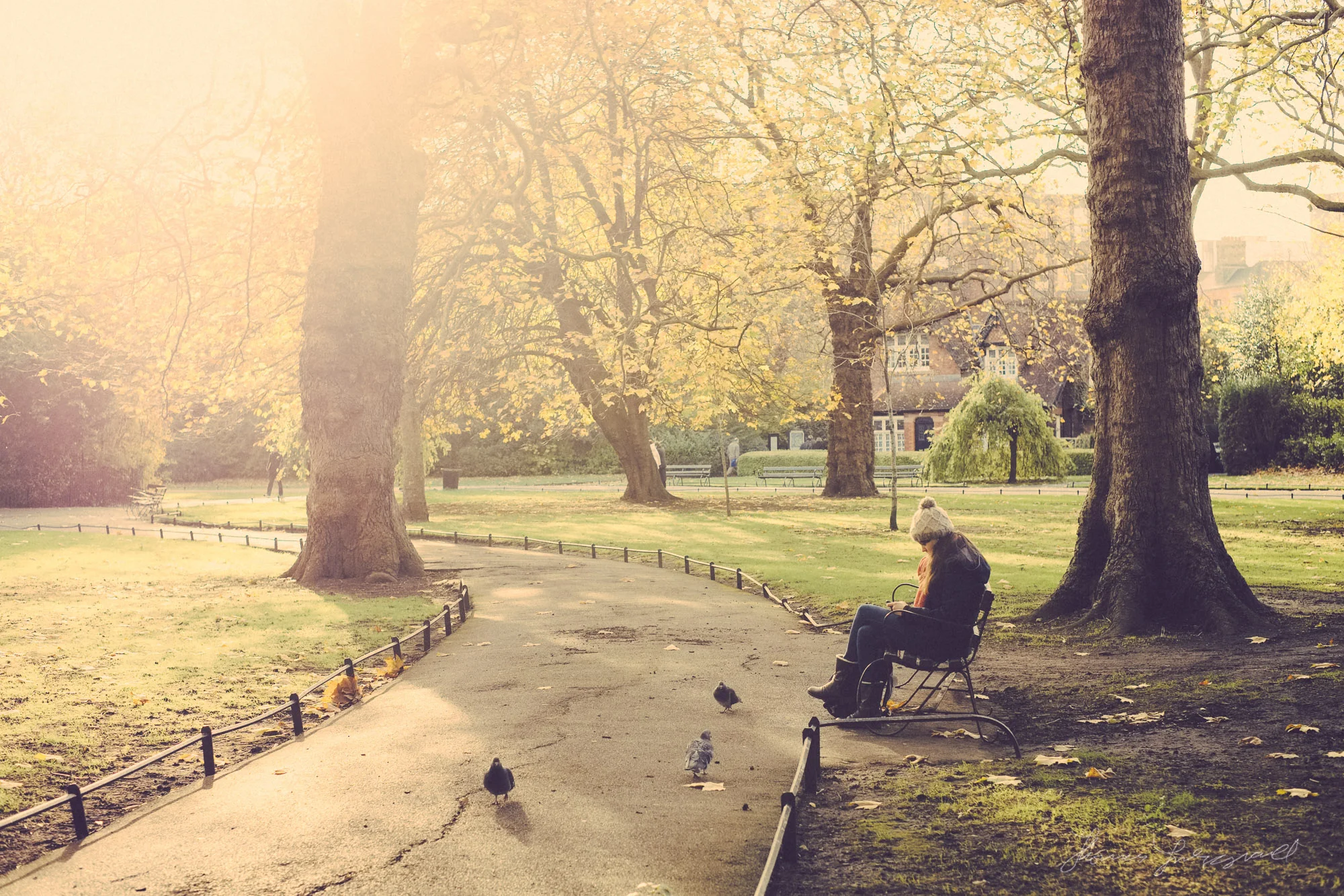 Girl on Park Bench Reading - Fuji XE1, Processed with Iridient Developer