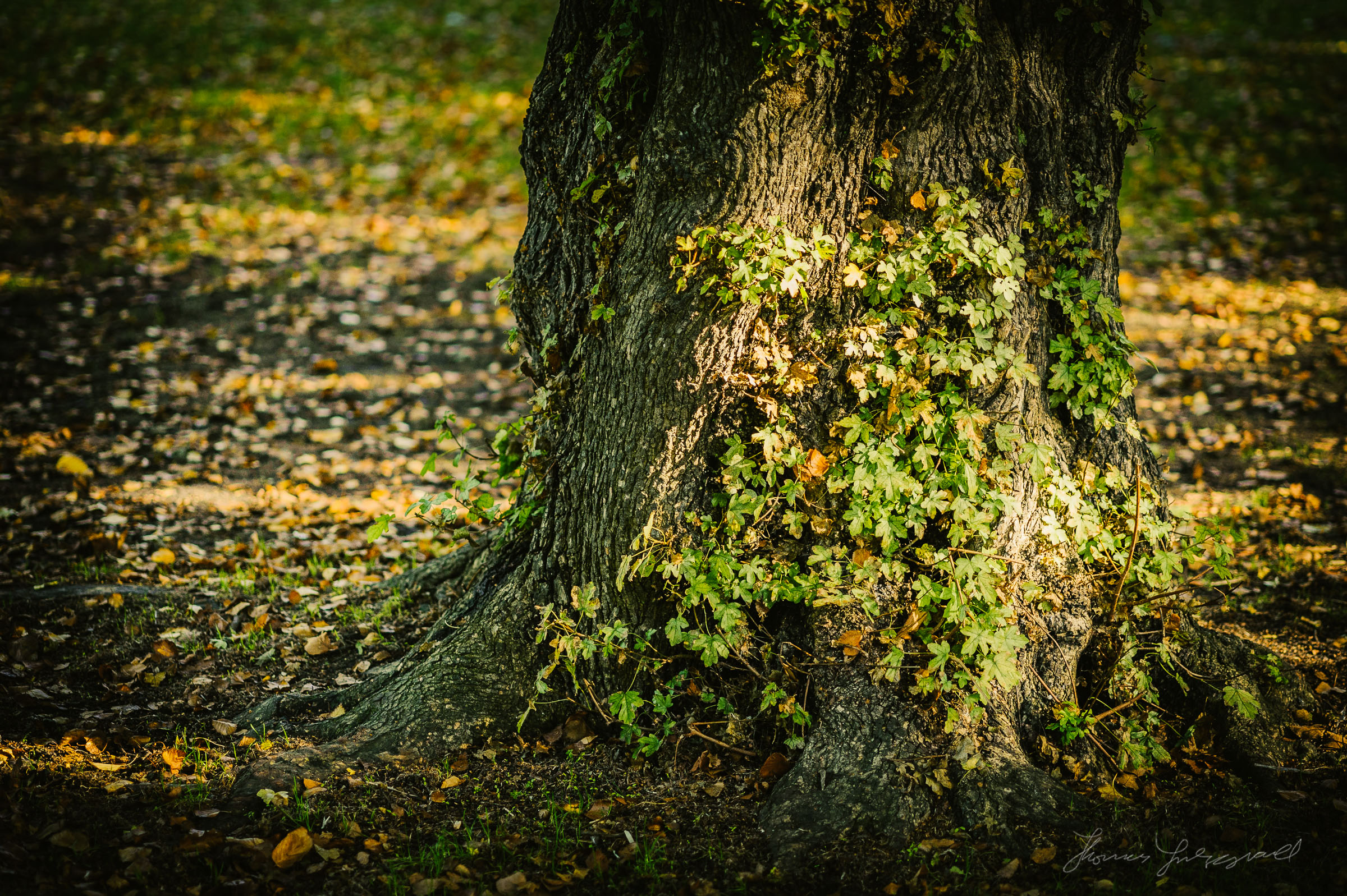 Featured image of post Landscape Photo Examples - If so, you need to photograph subjects/locations at the right time.