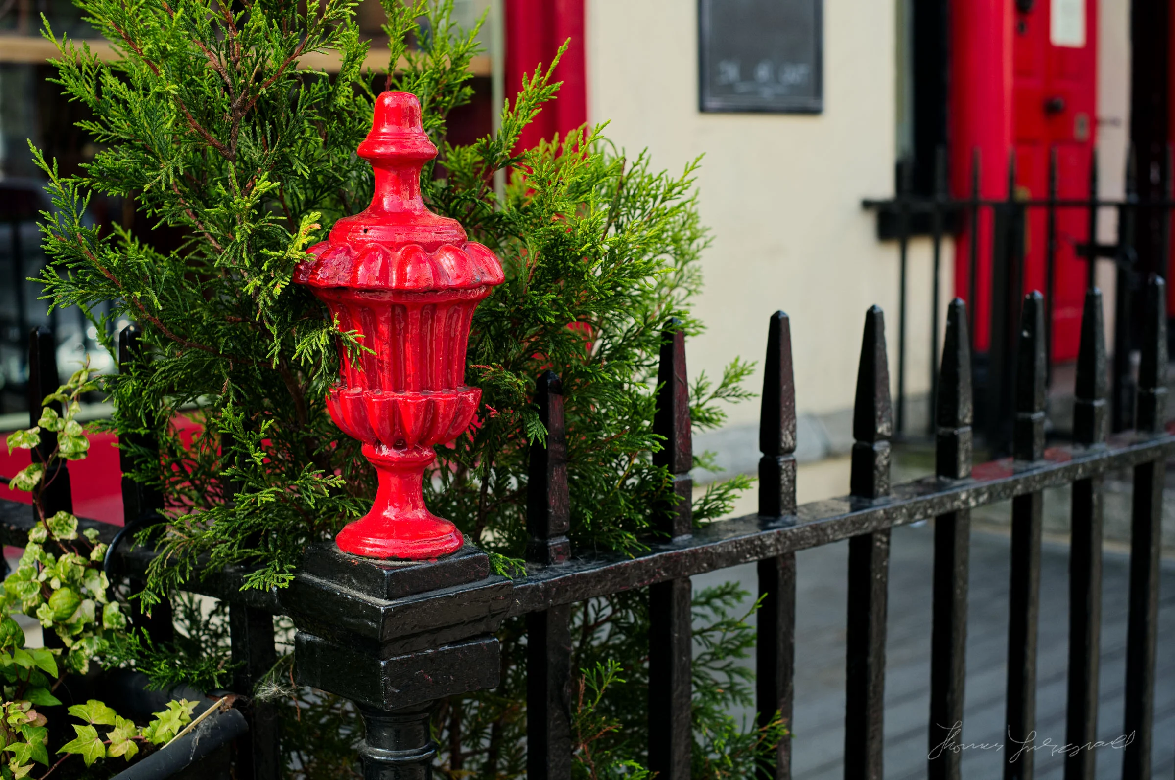 Red Details