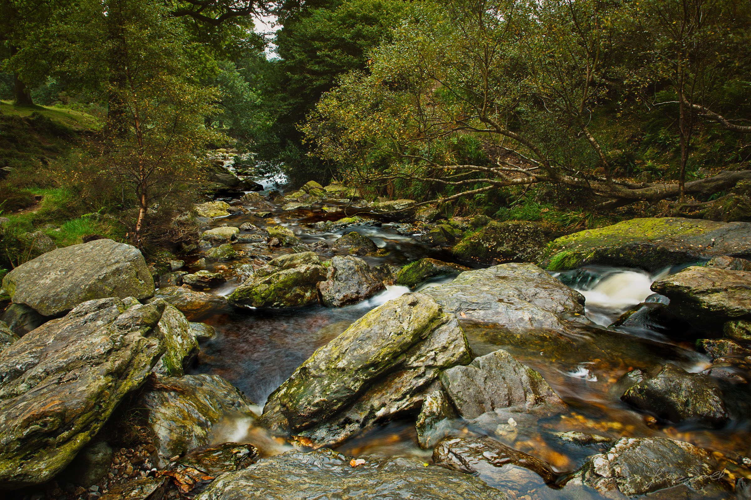 Forest River In the Wicklow Mountains