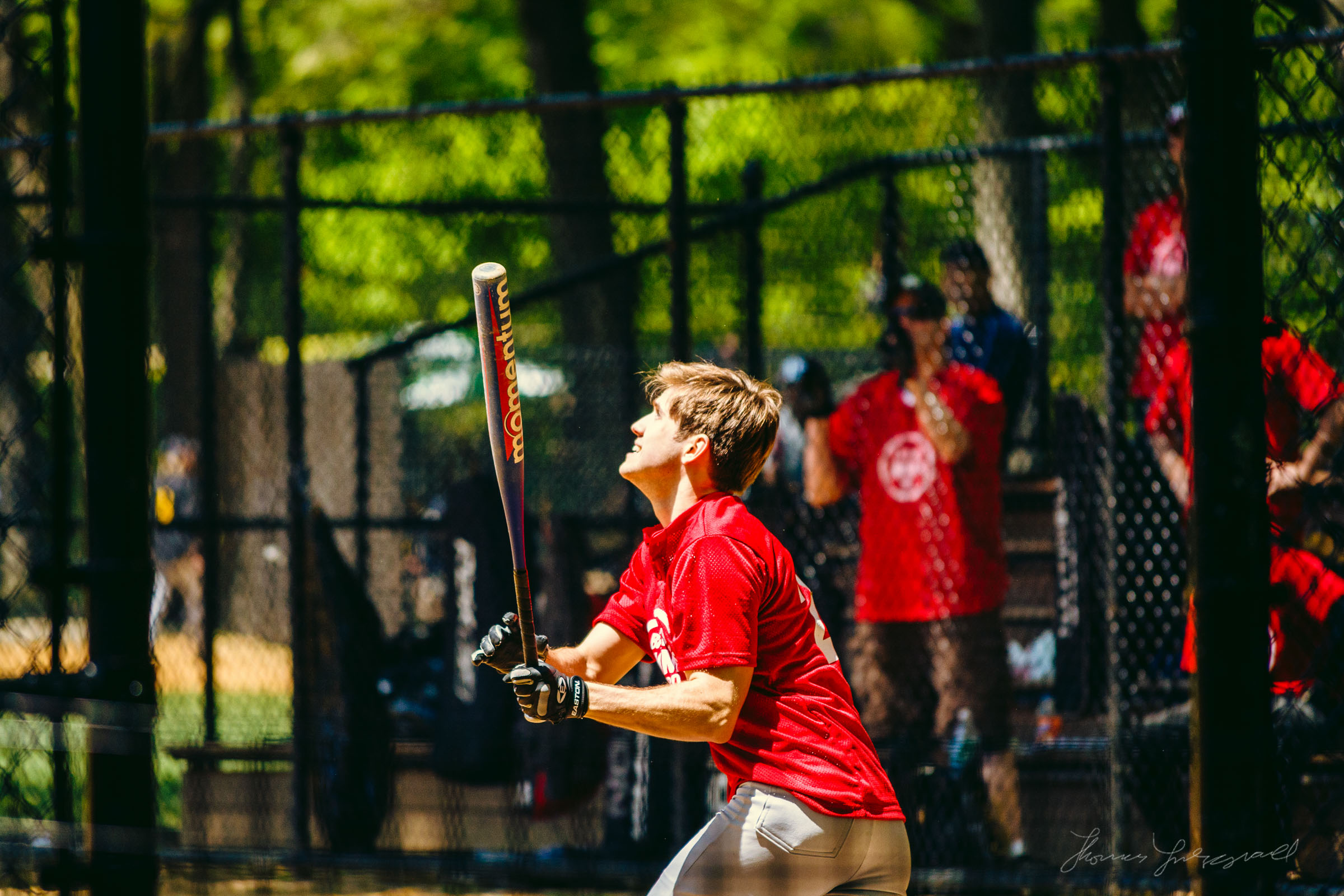 Baseball Player in Central Park