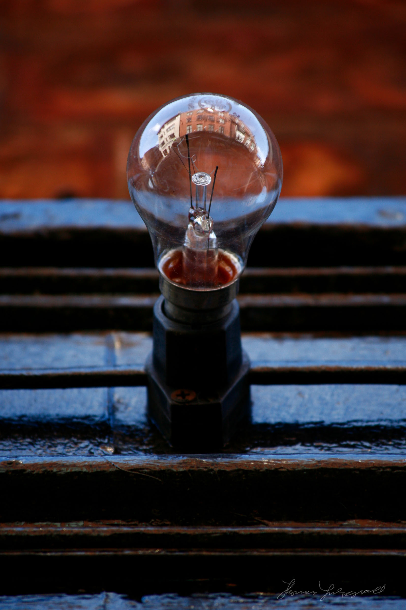 Reflections in Lightbulb