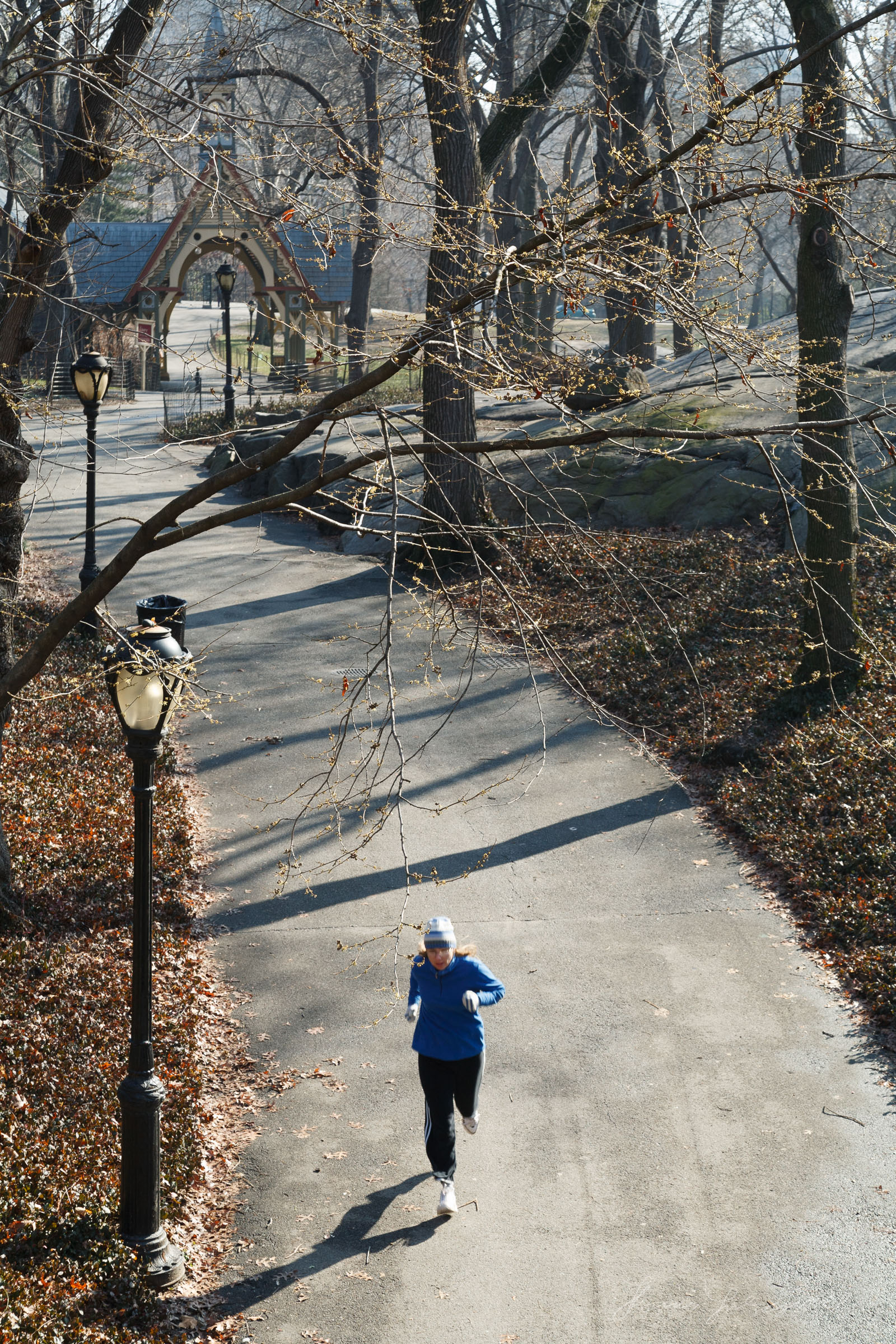 Jogger In New York City Central Park