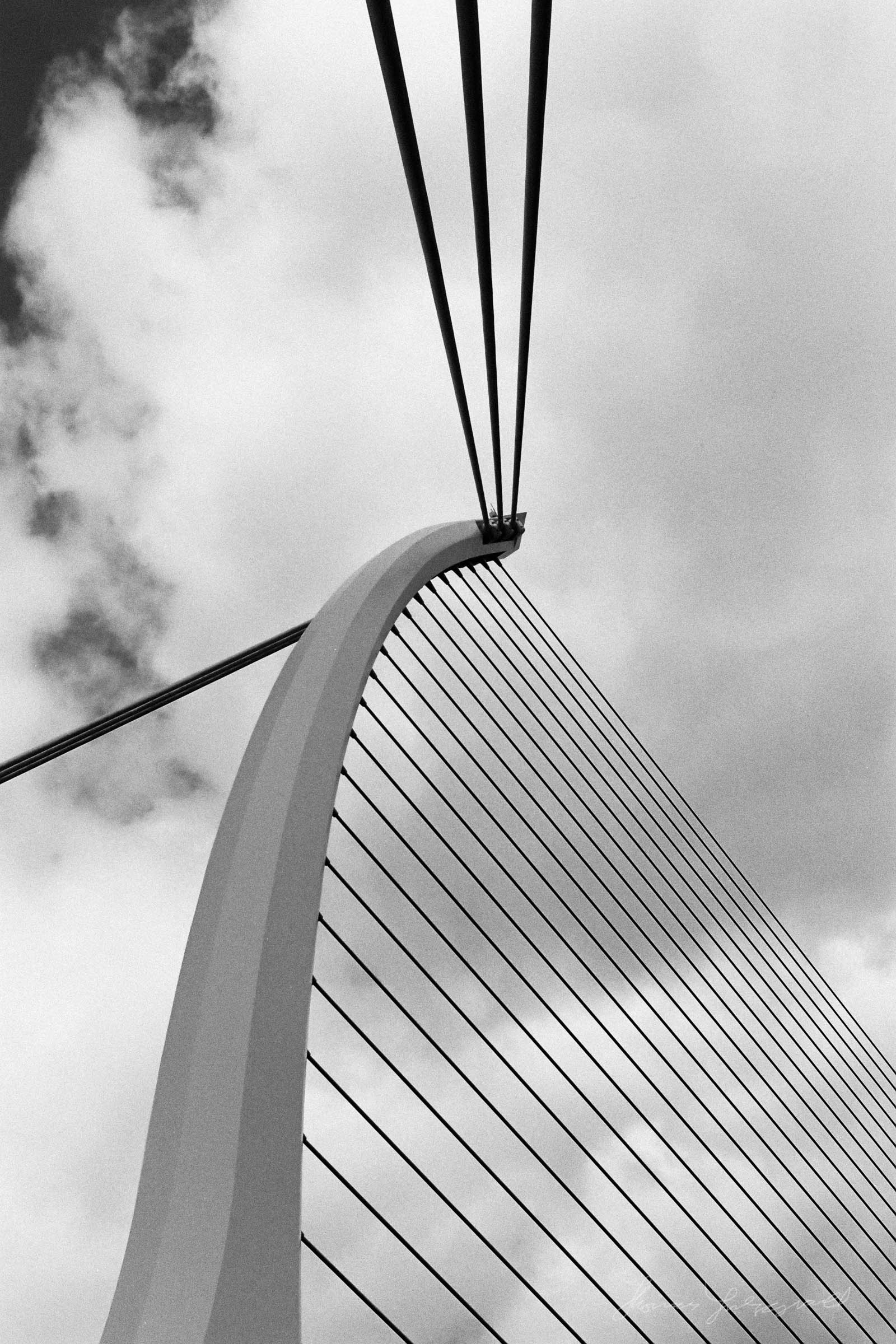 The Suspension cables of the Beckett Bridge