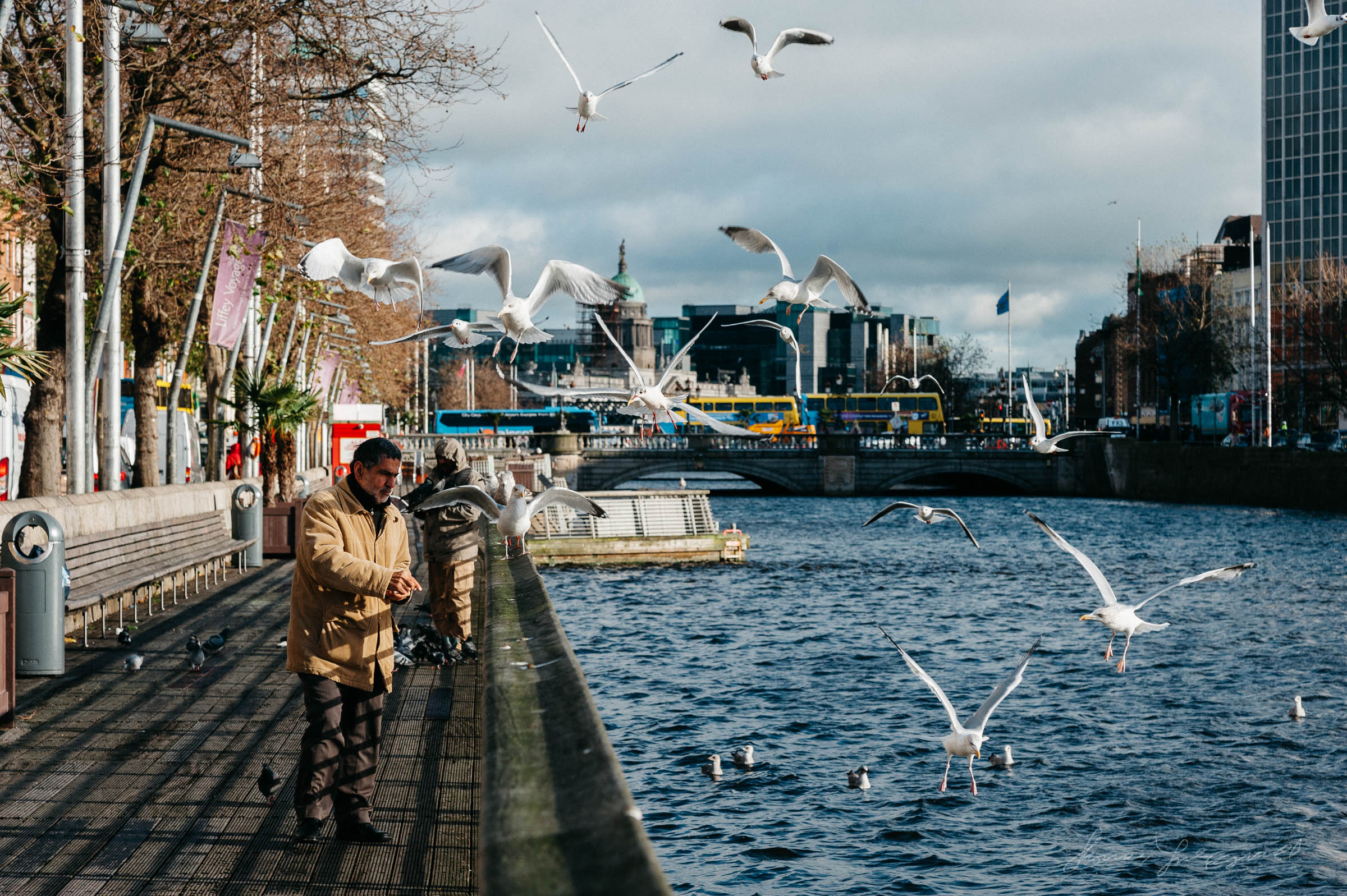 Man feeding seagulls on the boardwalk in Dublin.