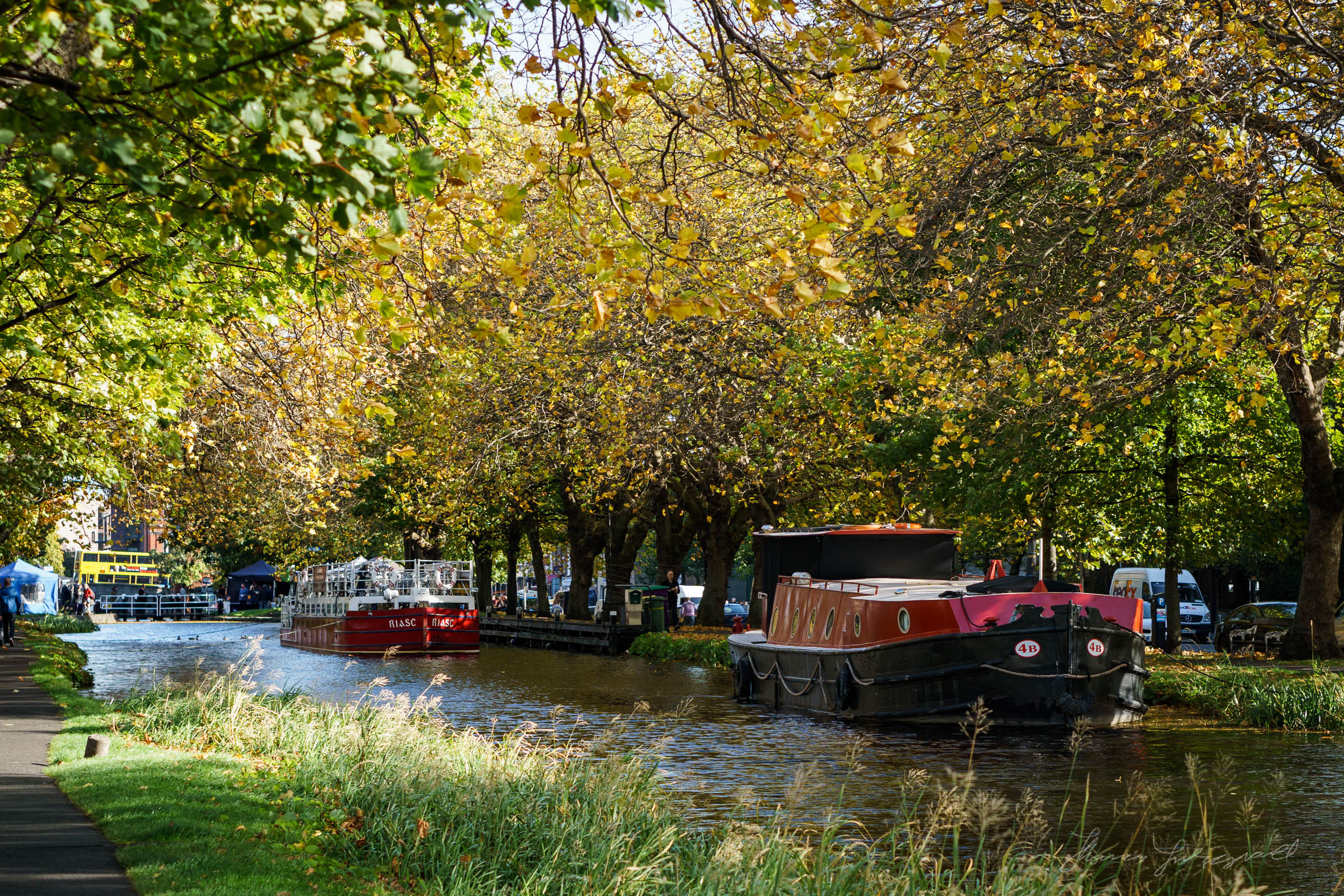 Autumn by the grand canal in Dublin
