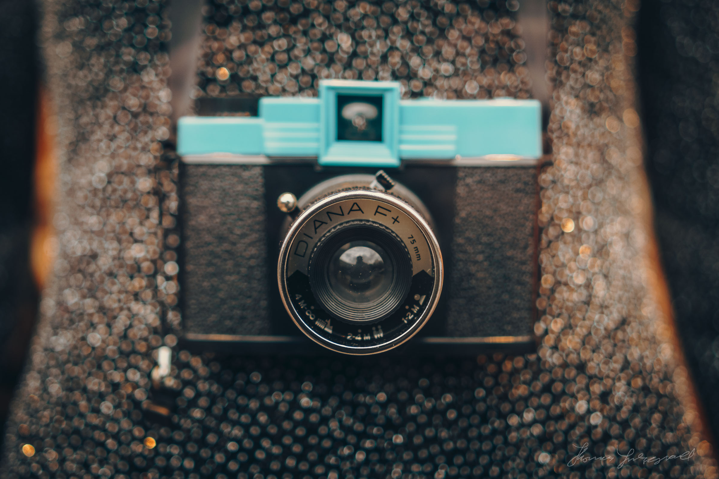 Not a Holga, but the equally popular Diana F+