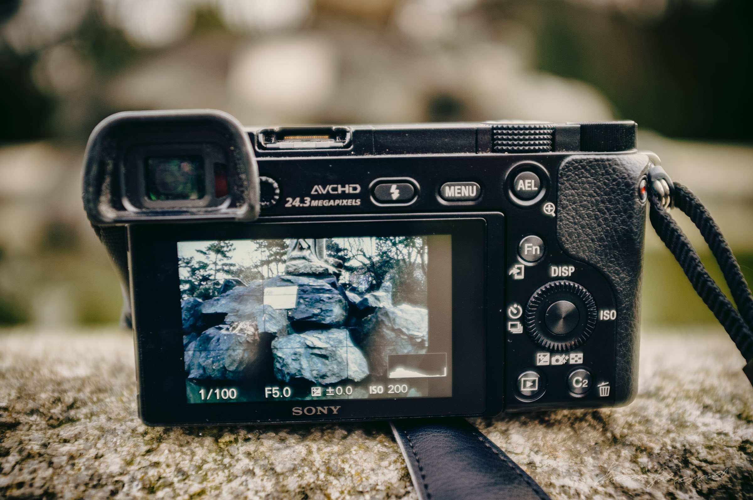 A Year with the Sony A6000: A Long Term Review - Part 1 — Thomas Fitzgerald  Photography