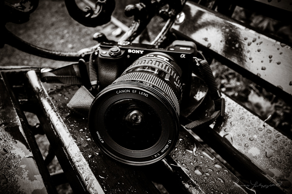 A Year with the Sony A6000: A long term review - Part 2 — Thomas Fitzgerald  Photography
