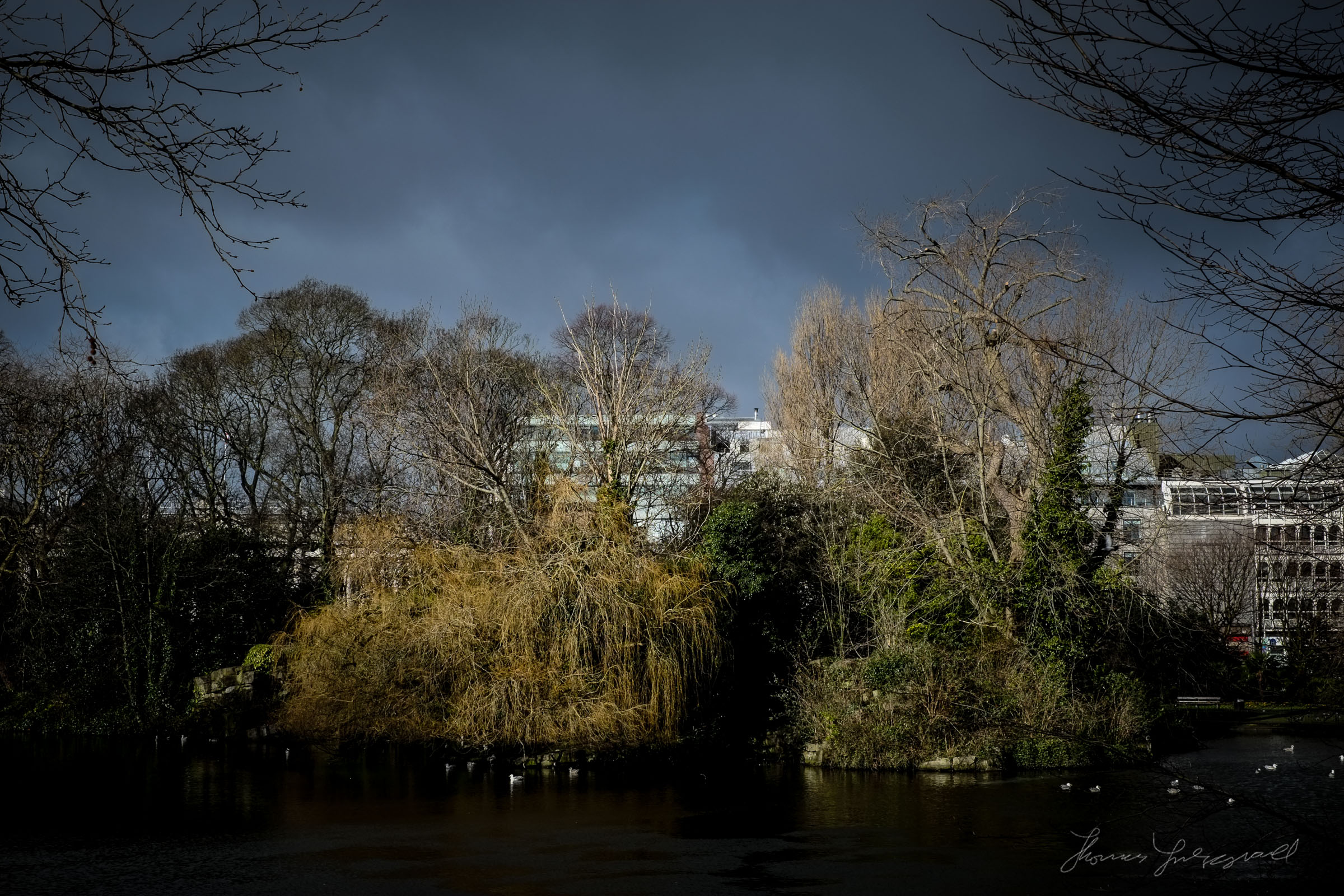 Some Examples of My Fuji Jpeg Settings in Action