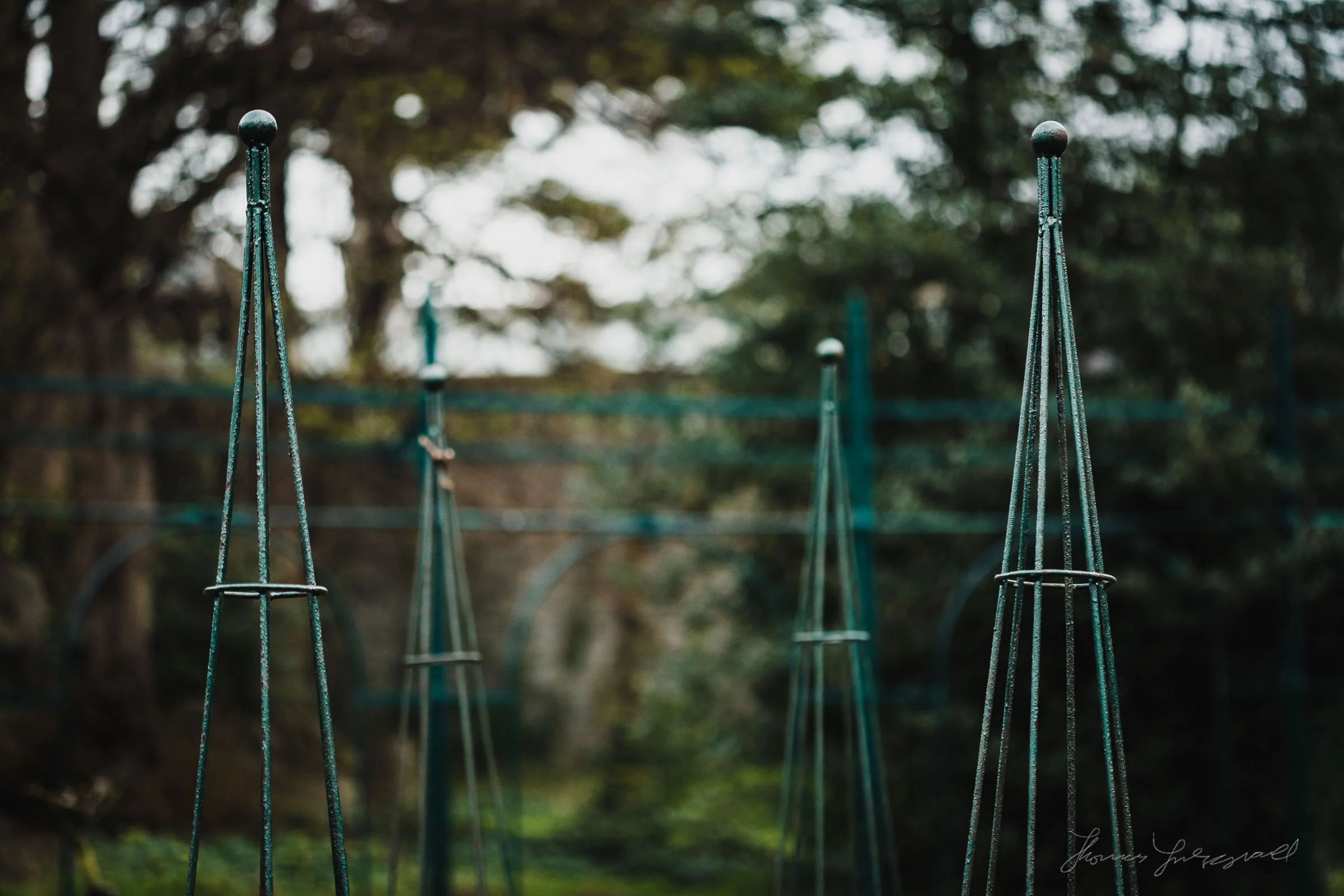 Affinity Photography