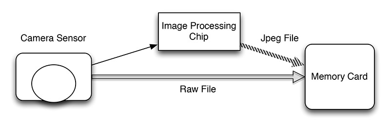 RGb and raw on Camera