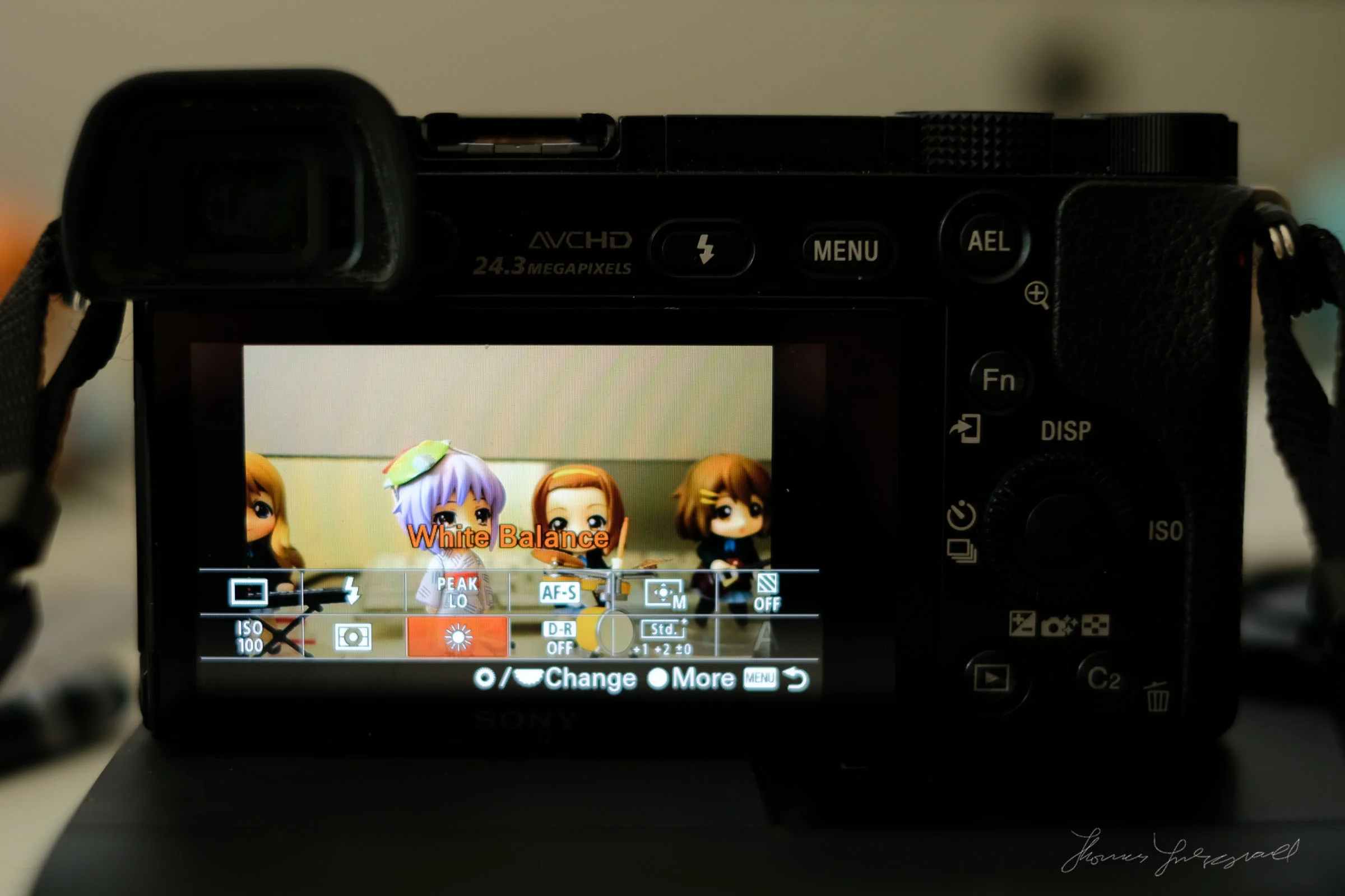 How to Adjust the Default White Balance on the Sony A6000 — Thomas