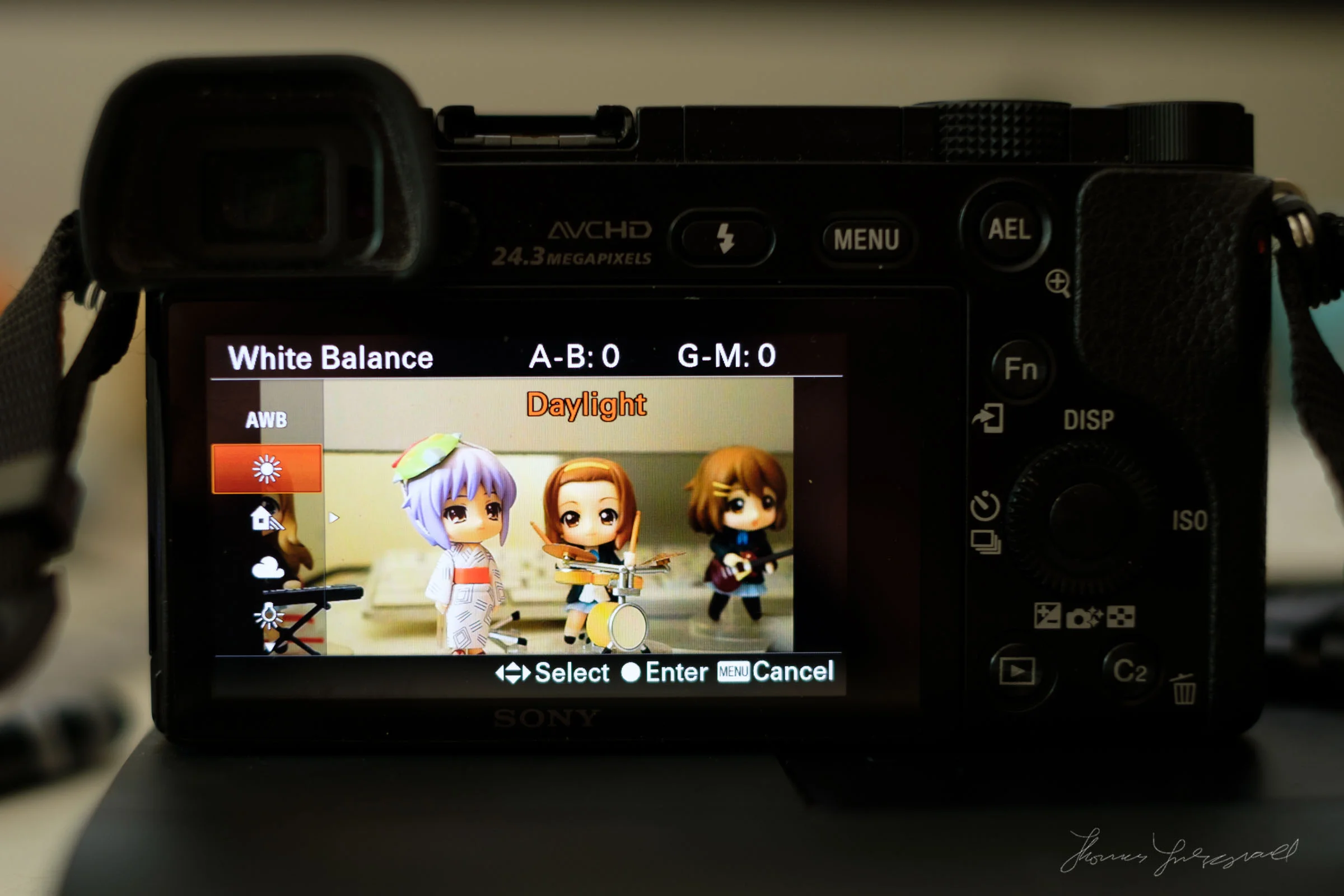 How to Adjust the Default White Balance on the Sony A6000 — Thomas