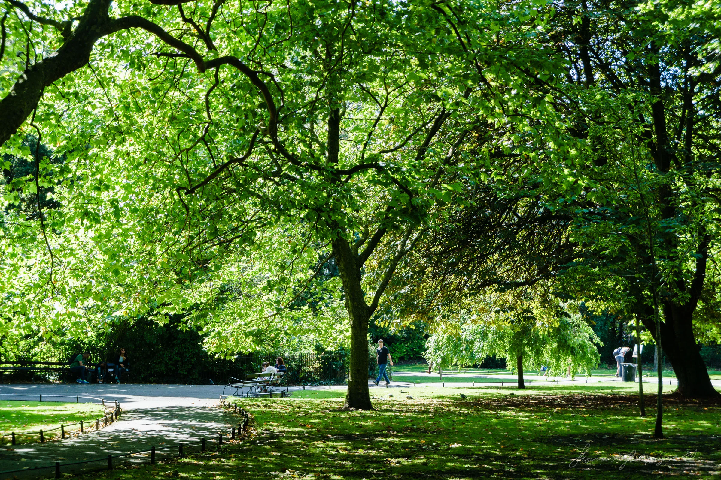 White balance and its importance An Excerpt from my Sony A6000 Guide