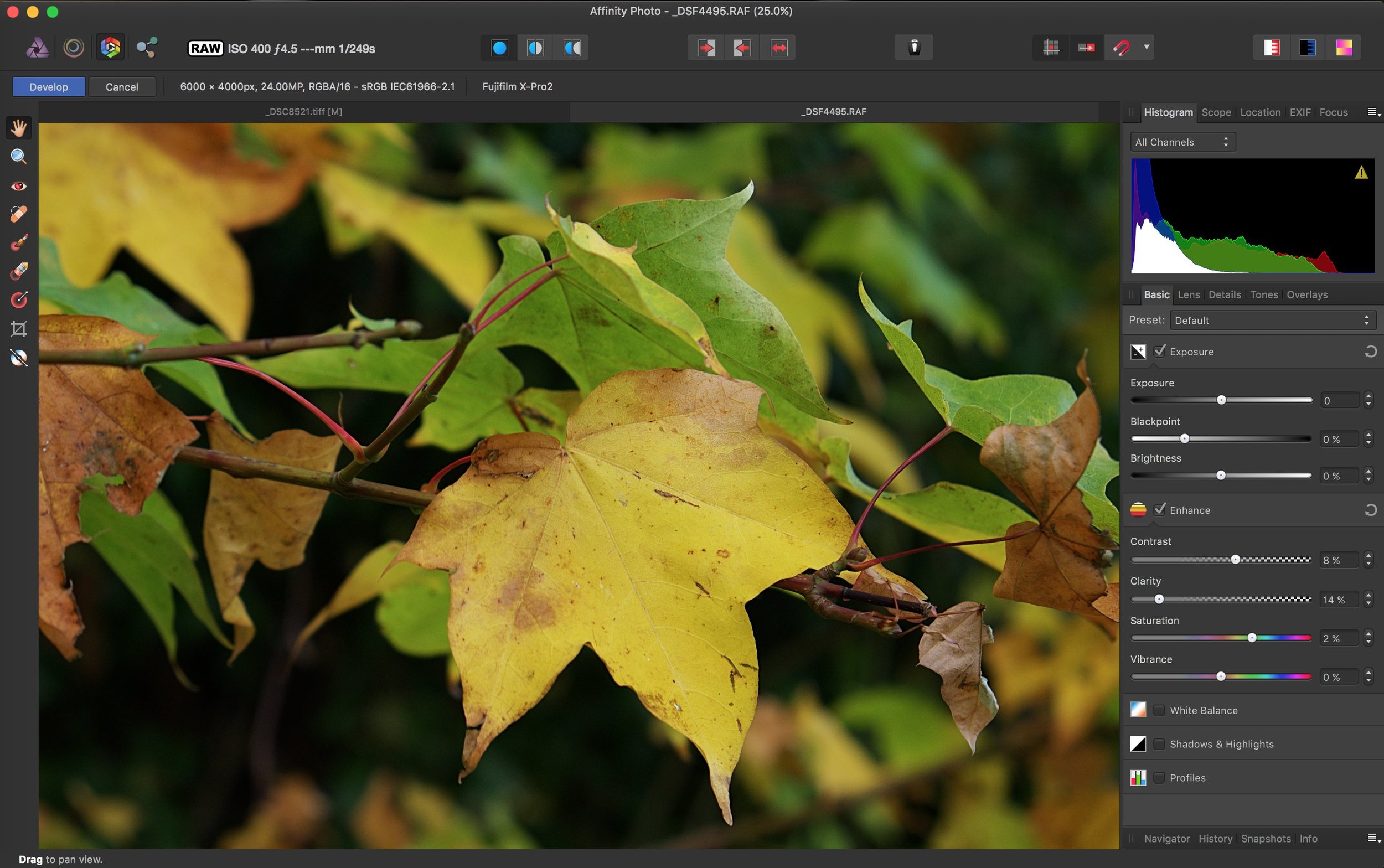How to edit X-Pro 2 raw files in Affinity Photo