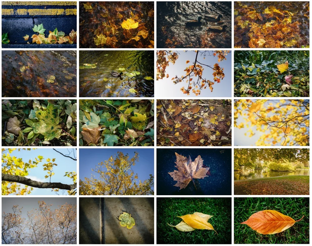 Autumn Leaves Wallpapers Pack Autumn Backgrounds Collection Page 1