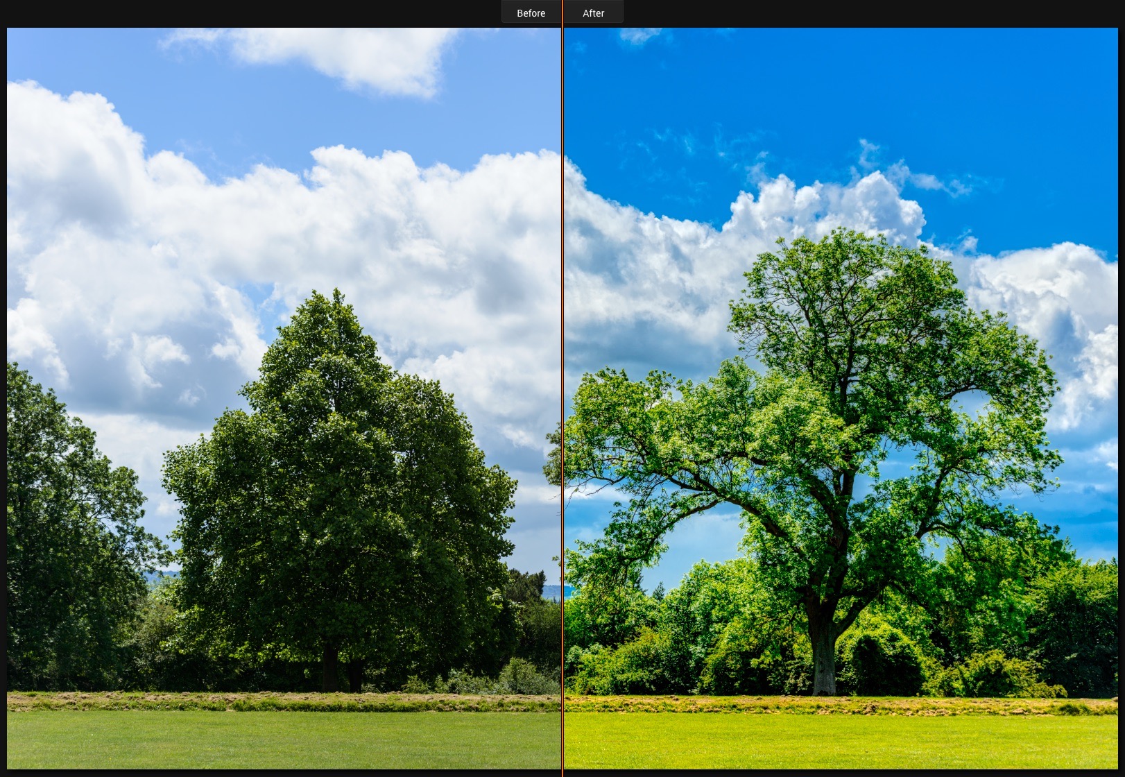 Before and After in Luminar
