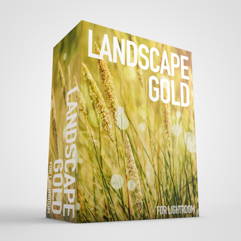 Landscape-Gold-Lightroom-Box.jpg