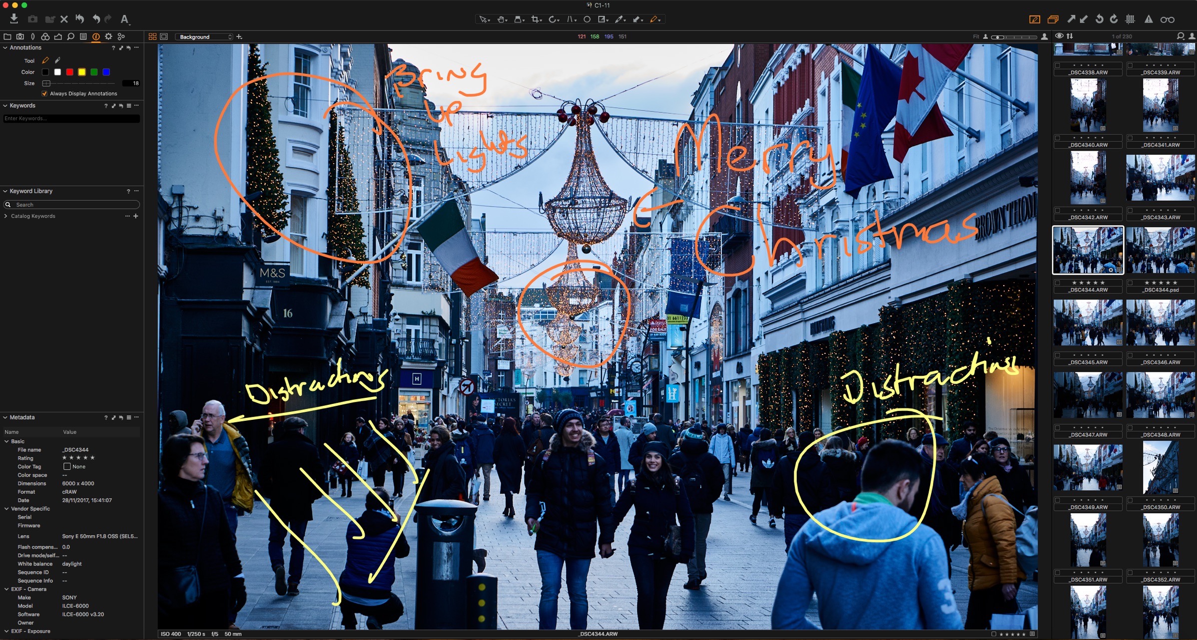 Capture One 11 Annotation Tools