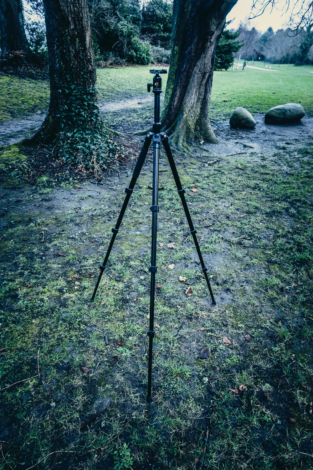K&F Travel Tripod Review — Thomas Fitzgerald Photography
