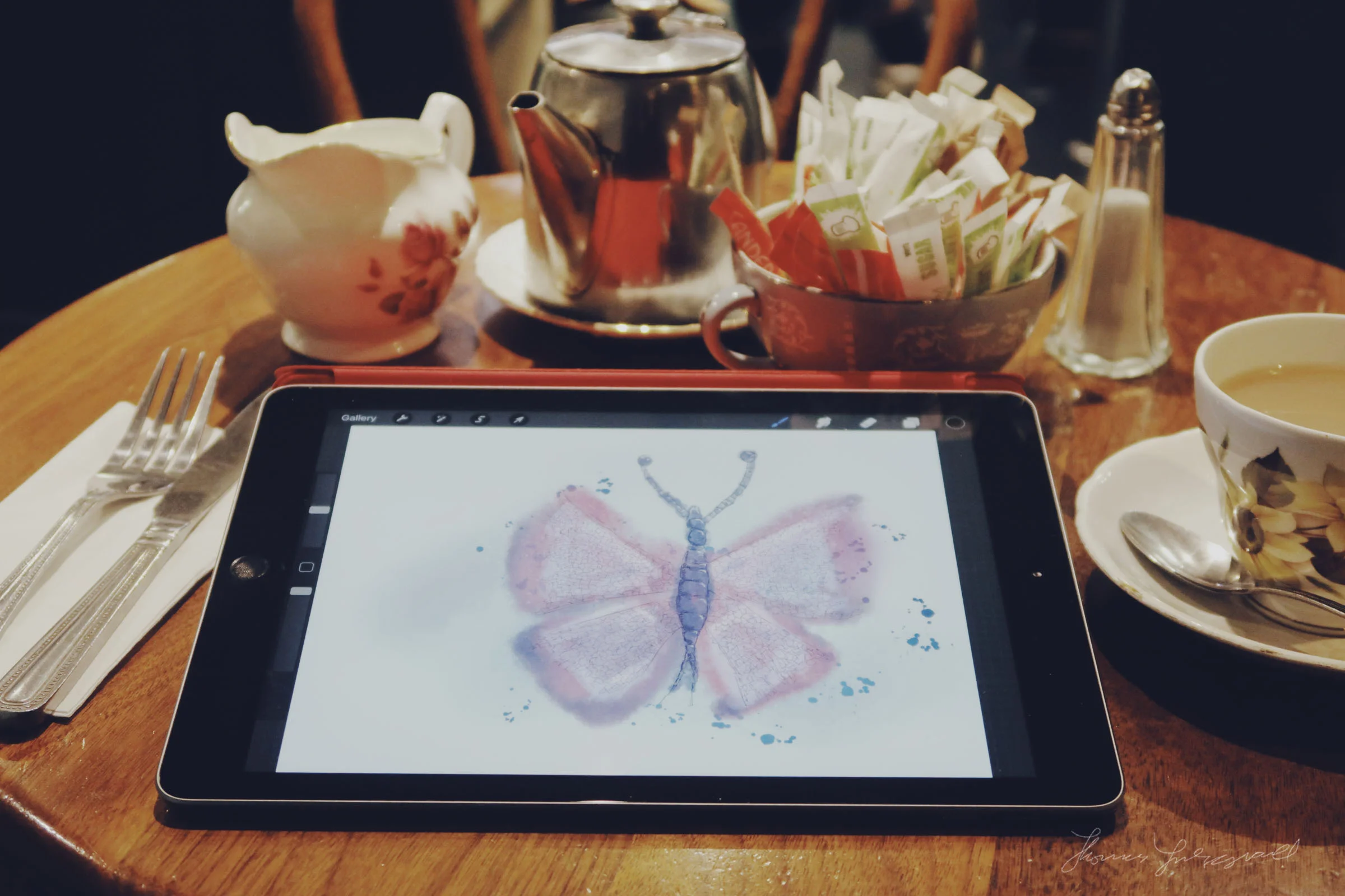 iPad and ProCreate