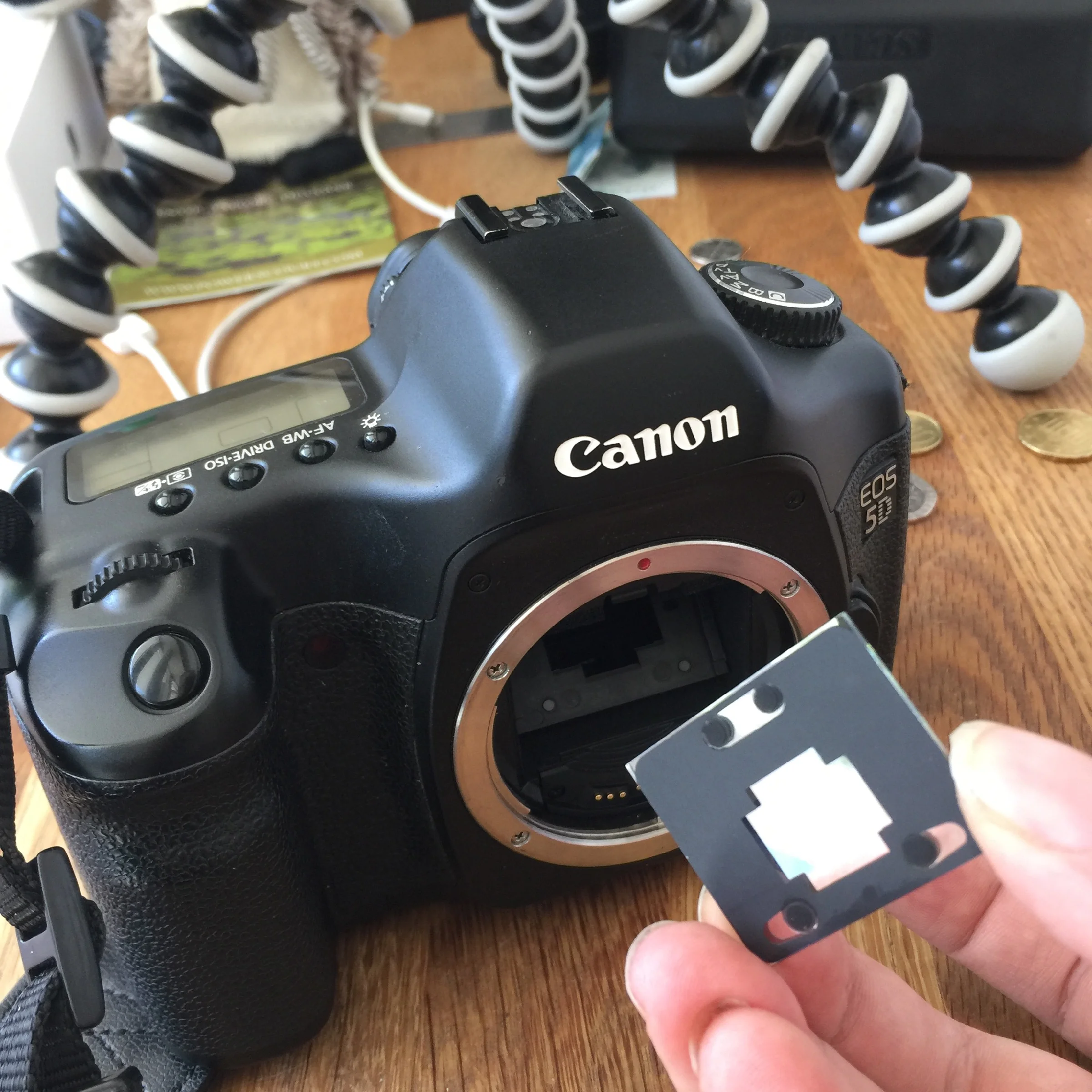 Canon 5d Mirrorless