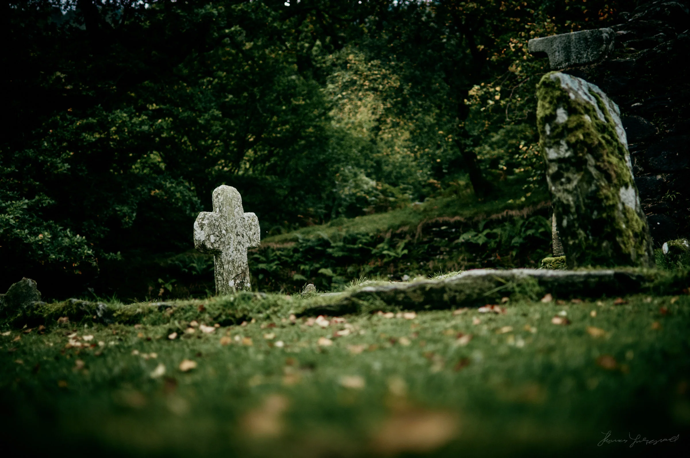 Nikon D90 from 2010 - Re-Processed with Capture One