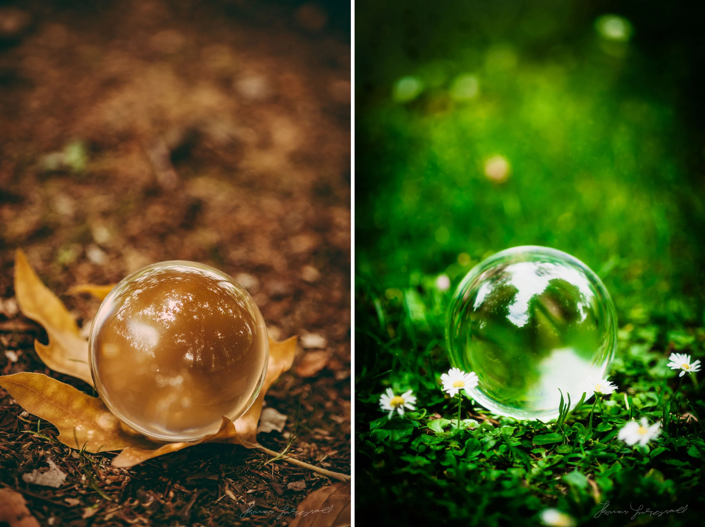 lensball-two-up.jpg