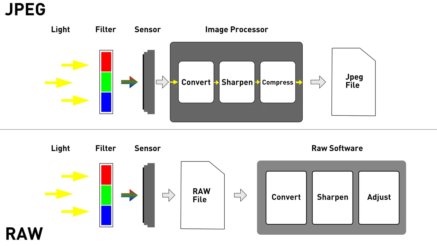 Why you need to sharpen RAW files — Thomas Fitzgerald Photography