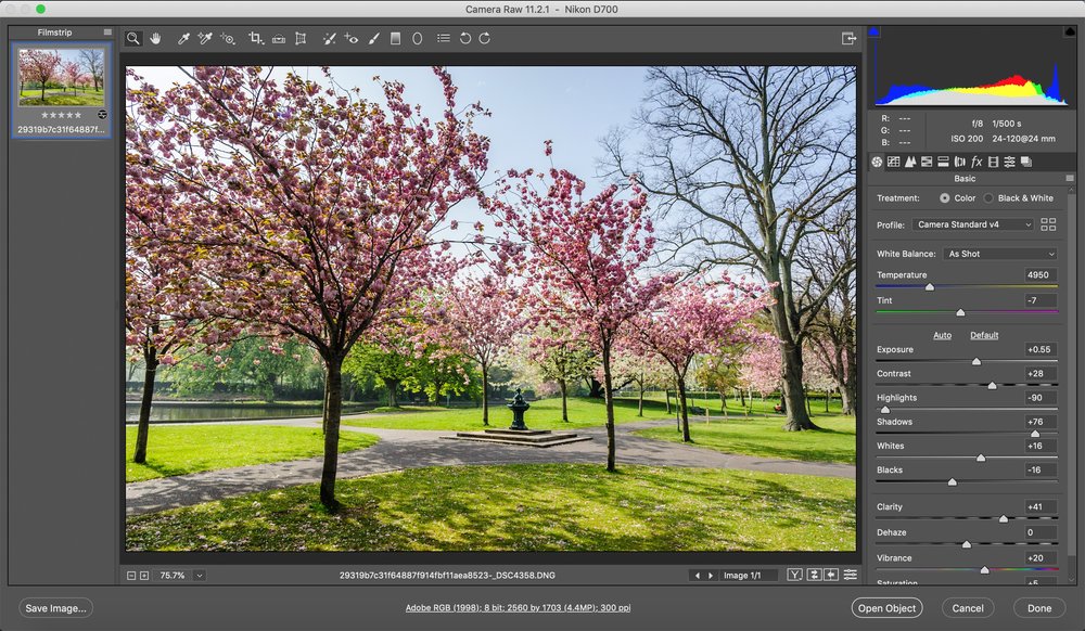 Anekdote Familielid lippen A Super Quick Photoshop Camera RAW Hidden Feature Tip — Thomas Fitzgerald  Photography