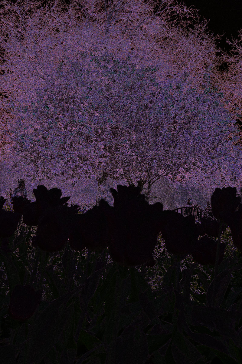Difference Map - Coloured areas show pixels that are different between the versions.