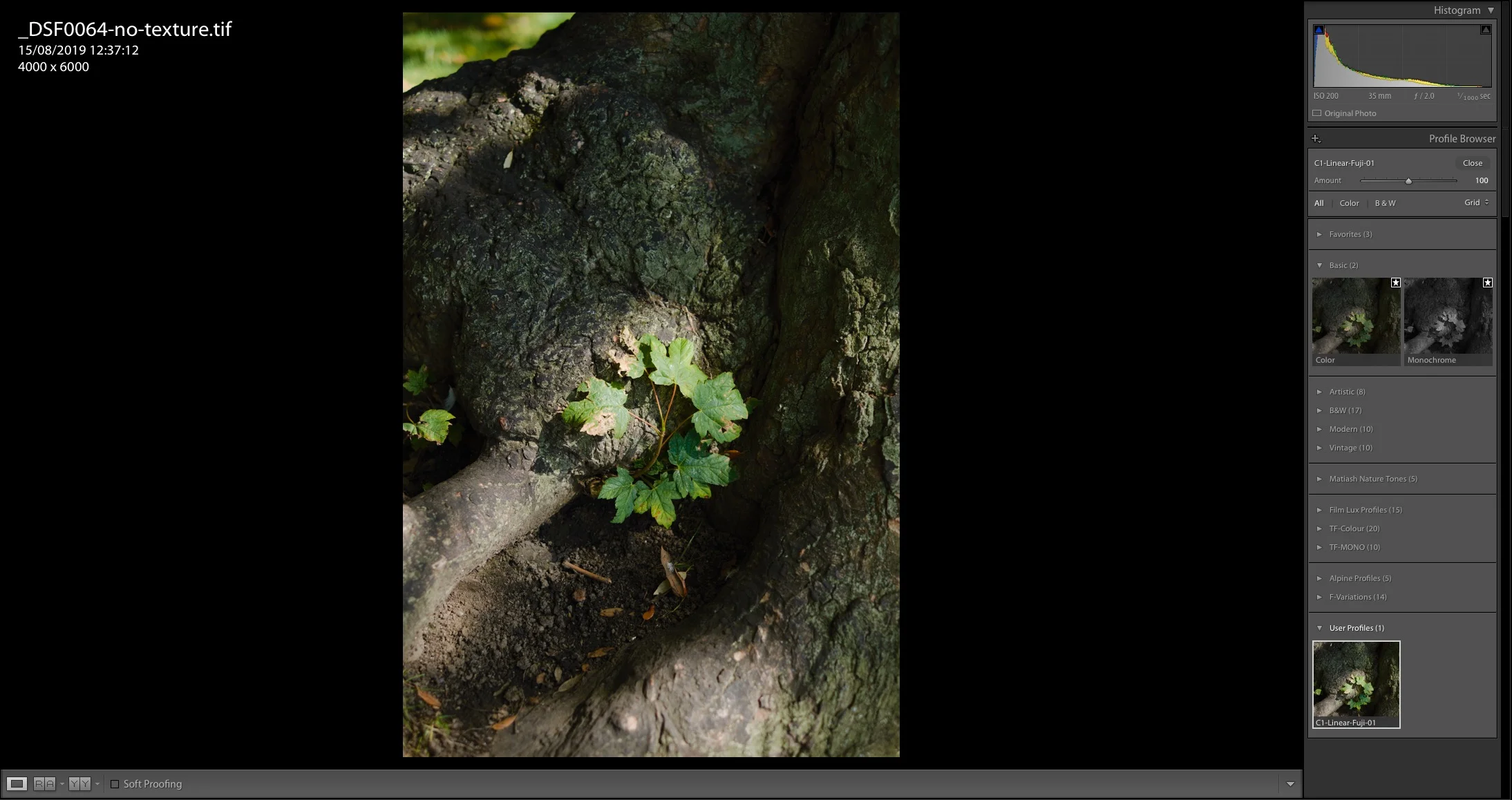 Using Colour Profile on image exported with Linear Resoponse to Capture One