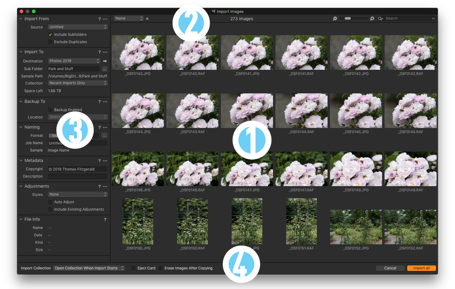 Capture One Main Import Window