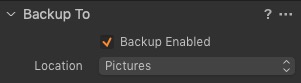 “Backup To” Capture One import Panel