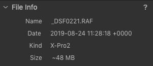 File Info Panel in Capture One